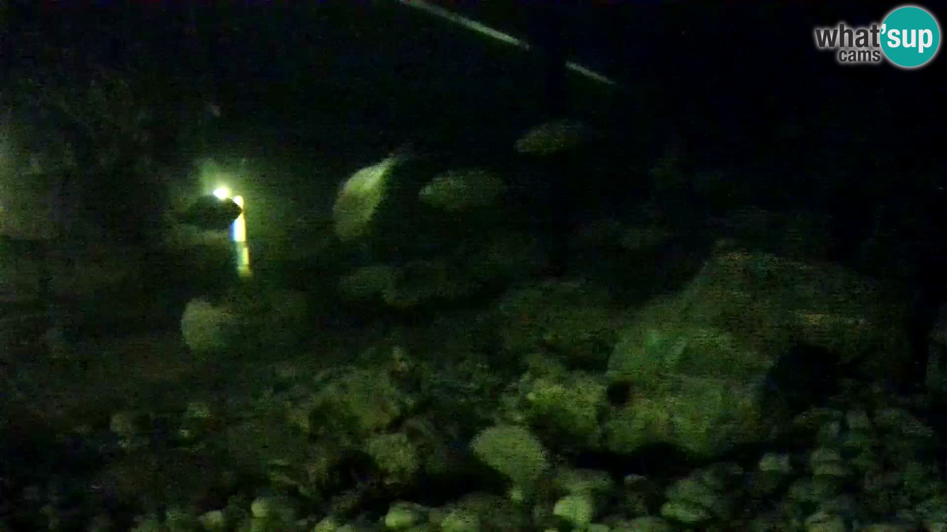 Webcam de l’aquarium marin extérieur de Rogoznica Croatie