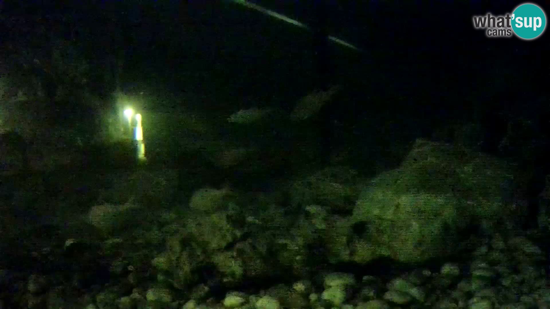 Acuario marino al aire libre Rogoznica webcam Croacia