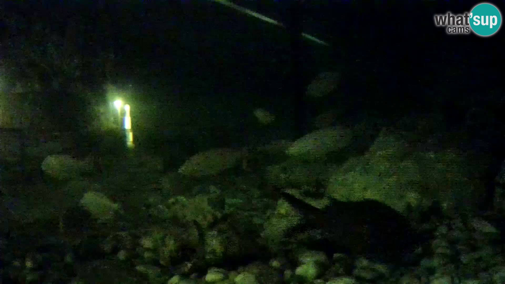 Aquario marino esterno –  Rogoznica livecam Croazia