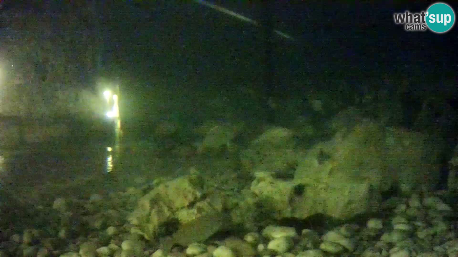 Aquario marino esterno –  Rogoznica livecam Croazia