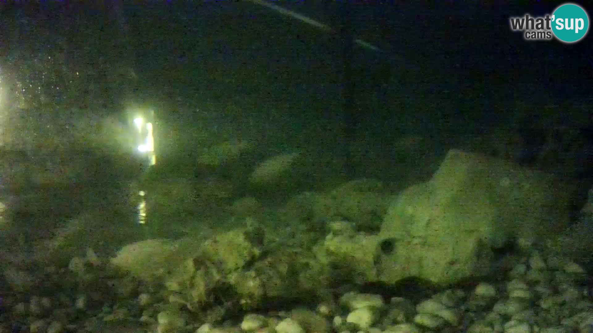 Acuario marino al aire libre Rogoznica webcam Croacia