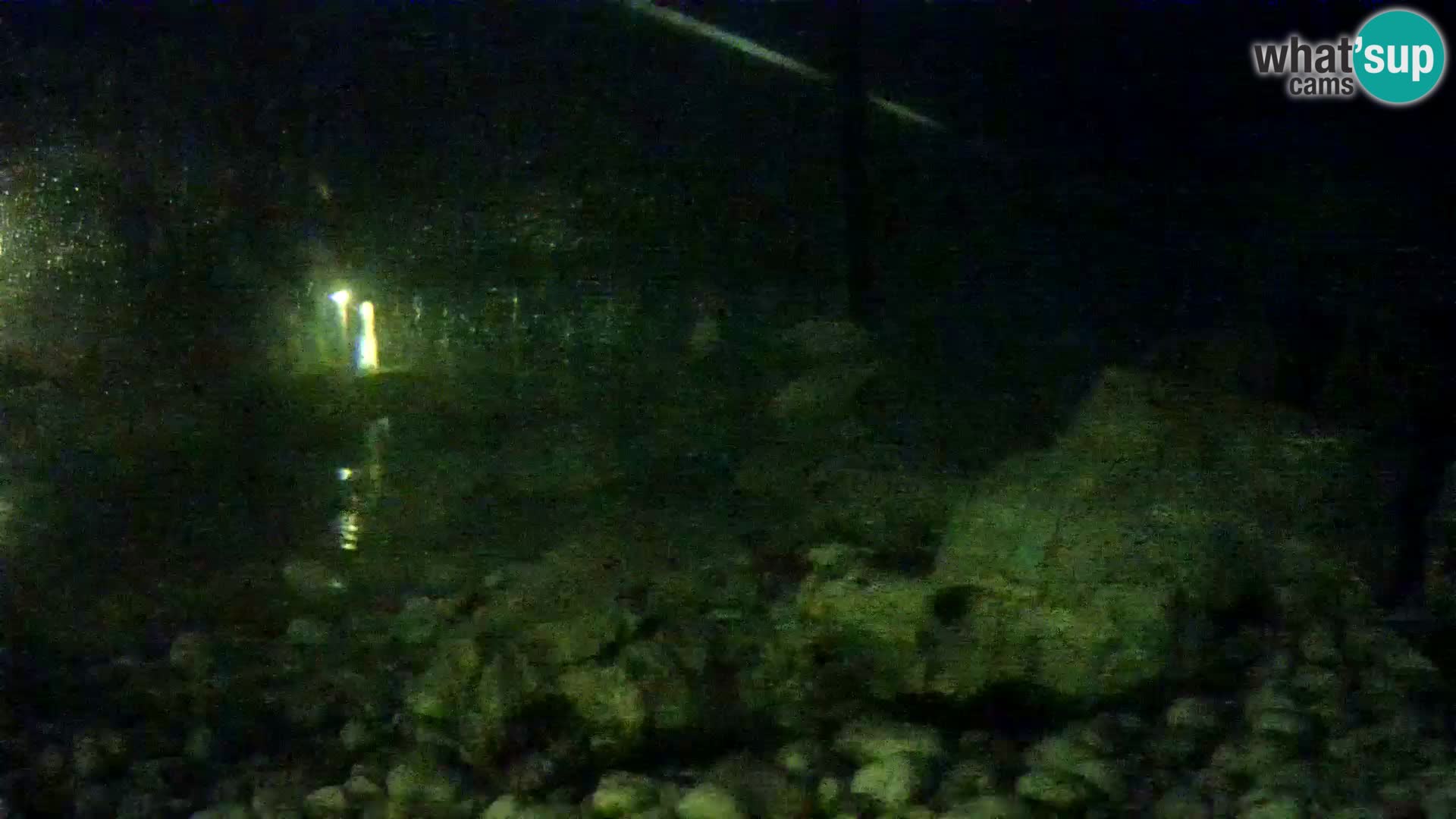 Aquario marino esterno –  Rogoznica livecam Croazia