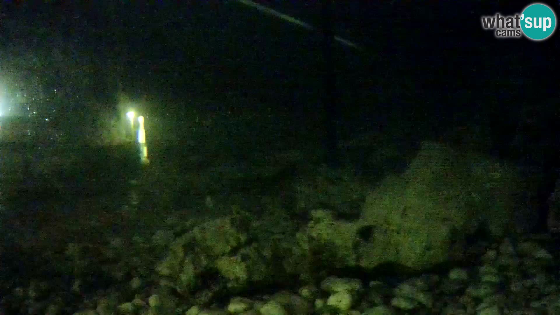 Acuario marino al aire libre Rogoznica webcam Croacia