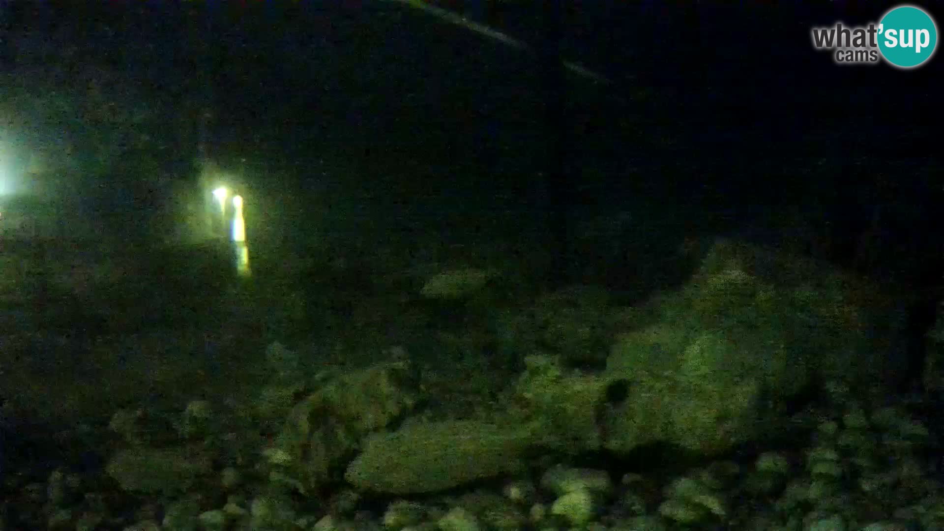 Aquario marino esterno –  Rogoznica livecam Croazia