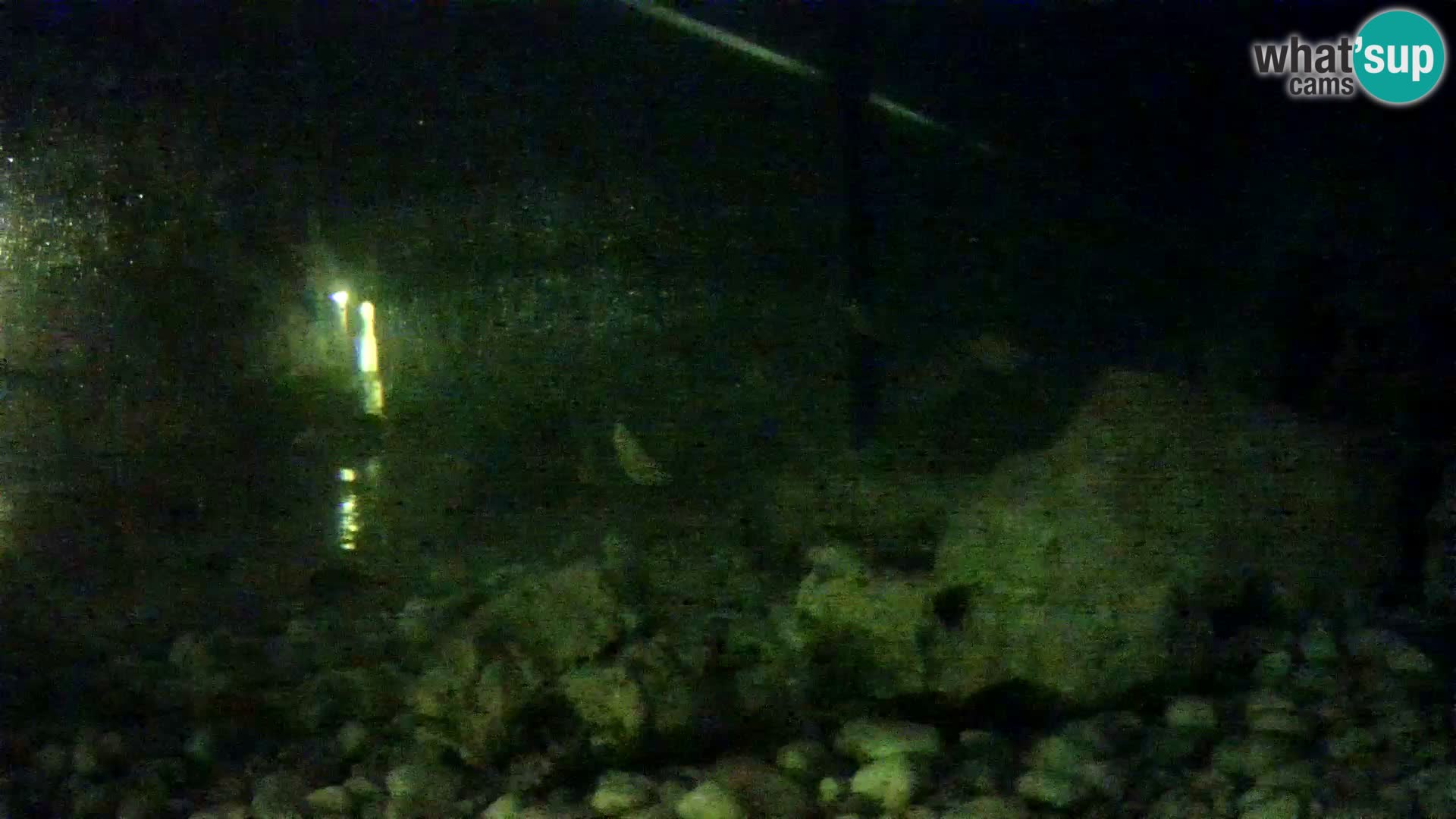 Acuario marino al aire libre Rogoznica webcam Croacia