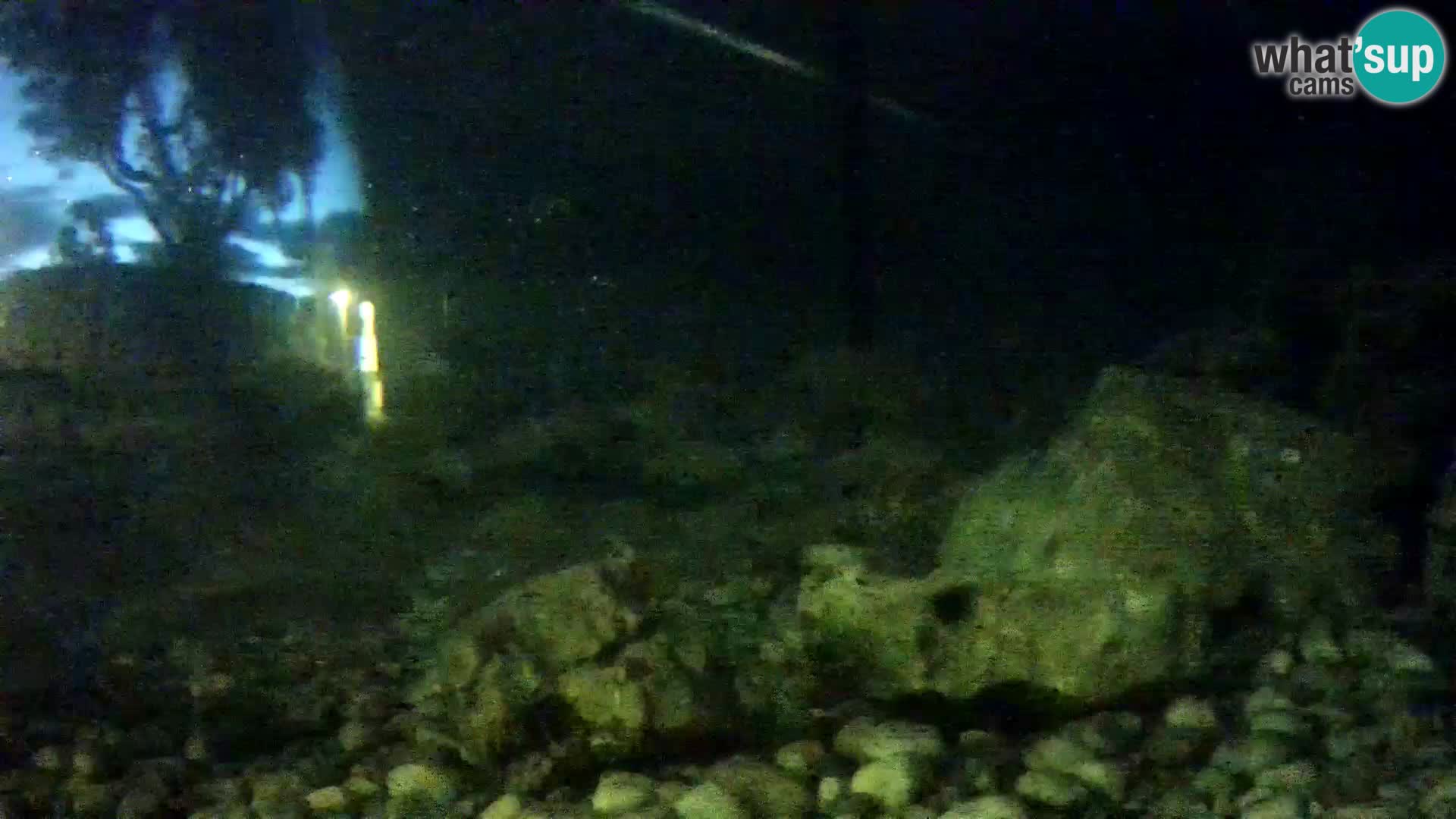 Acuario marino al aire libre Rogoznica webcam Croacia