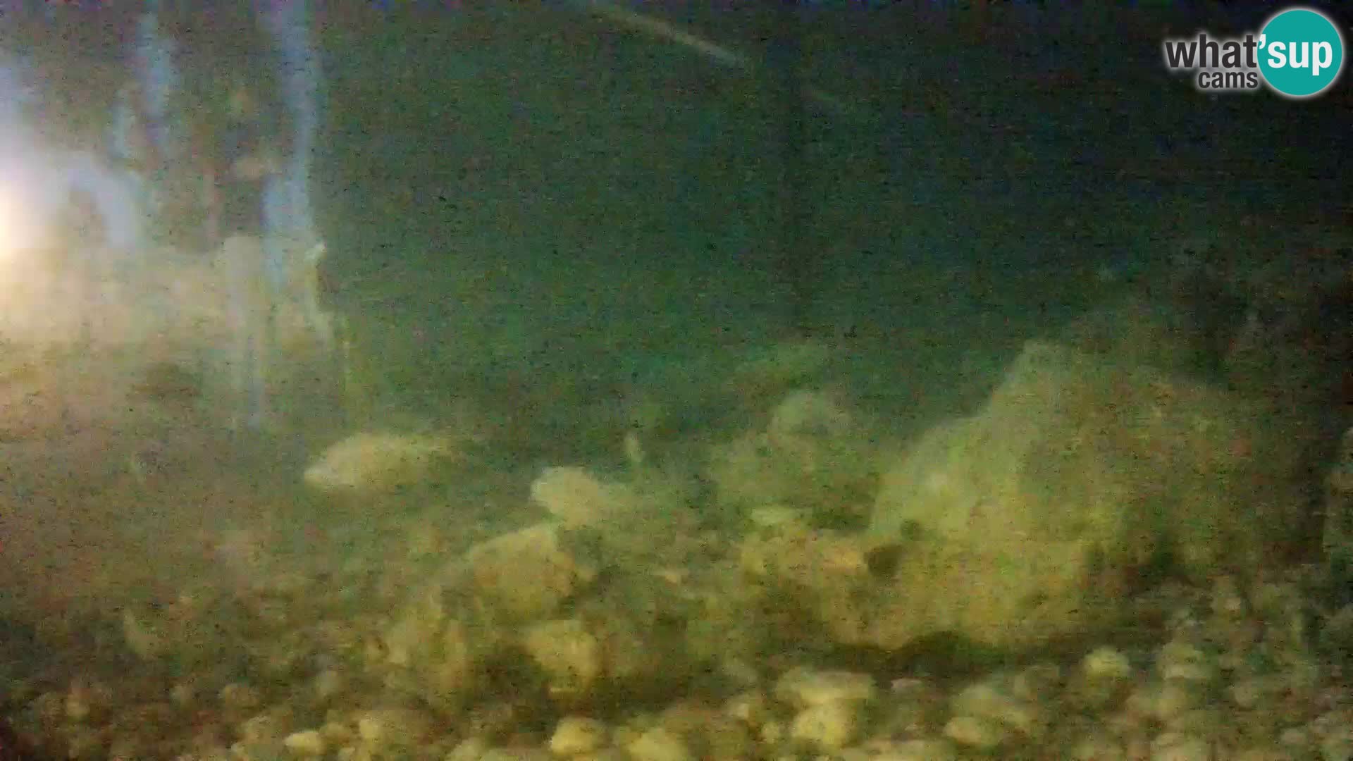 Acuario marino al aire libre Rogoznica webcam Croacia