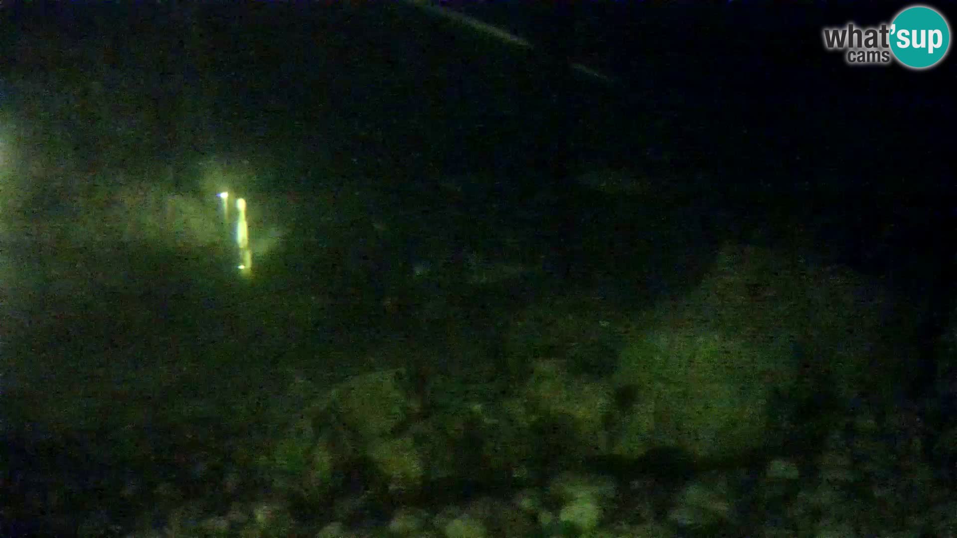 Outdoor Marine Aquarium Rogoznica webcam Croatia