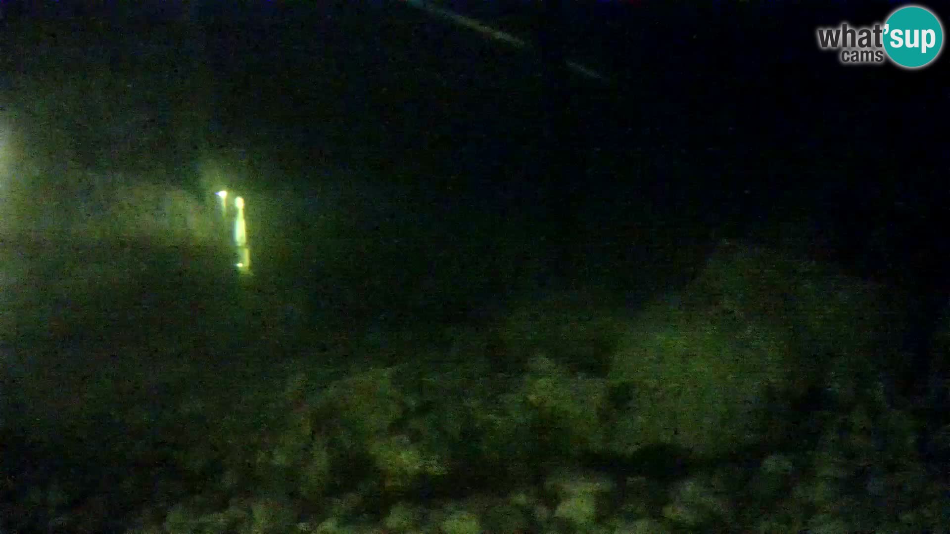 Zunanji morski akvarij Rogoznica spletna kamera Hrvaška