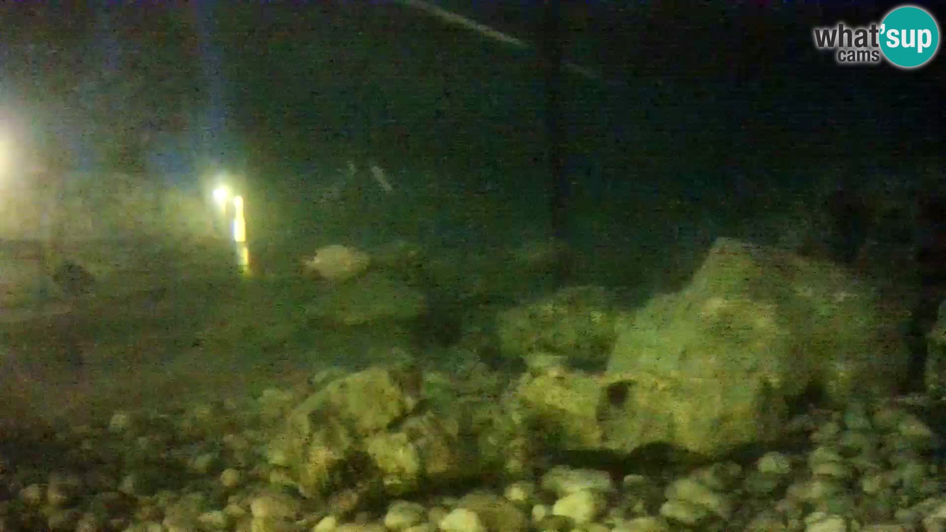 Outdoor Marine Aquarium Rogoznica webcam Croatia