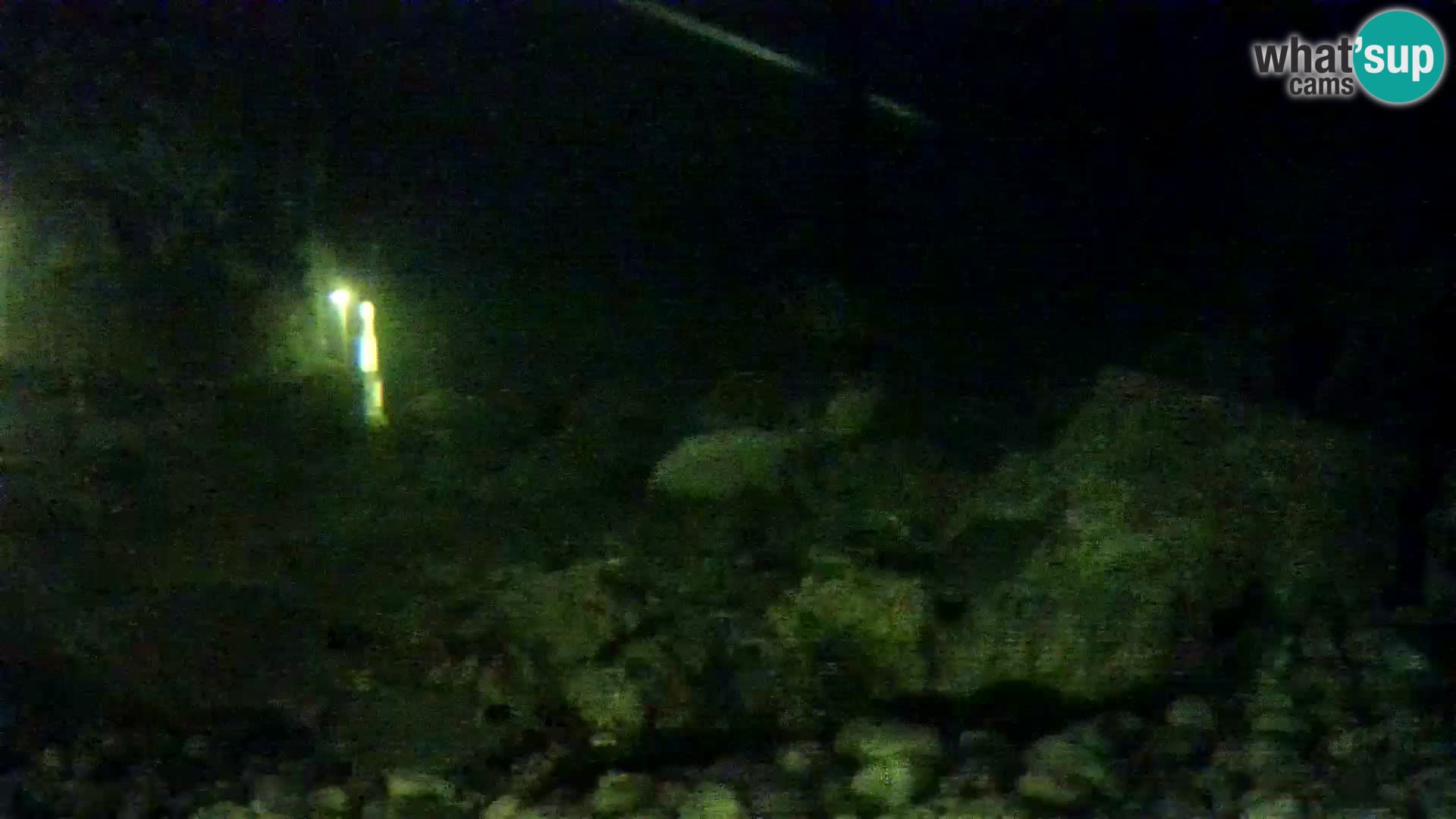 Aquario marino esterno –  Rogoznica livecam Croazia