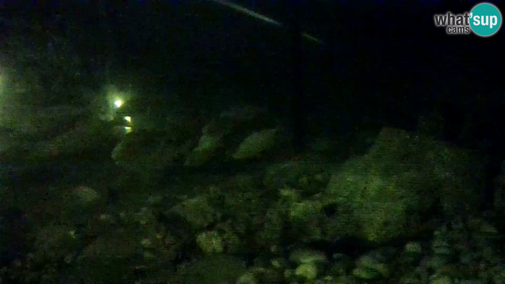 Aquario marino esterno –  Rogoznica livecam Croazia