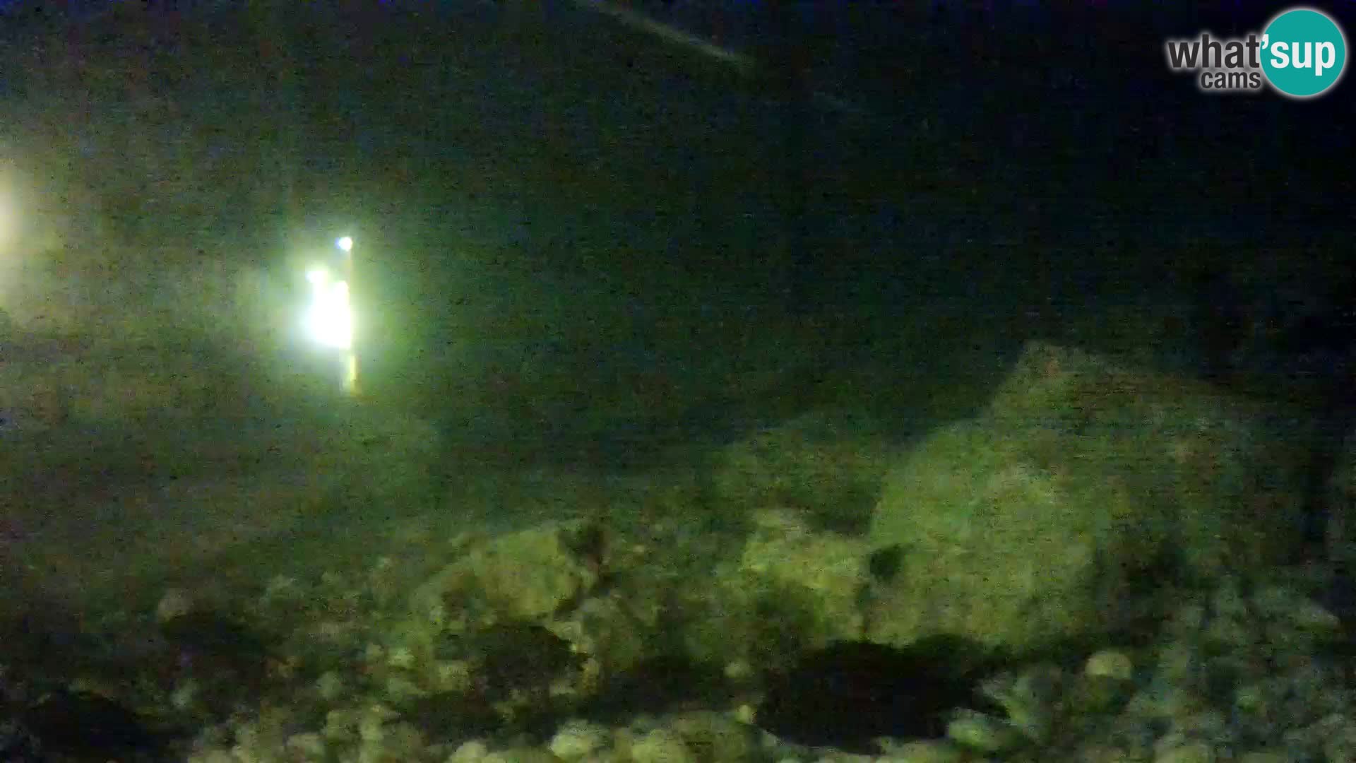 Aquario marino esterno –  Rogoznica livecam Croazia