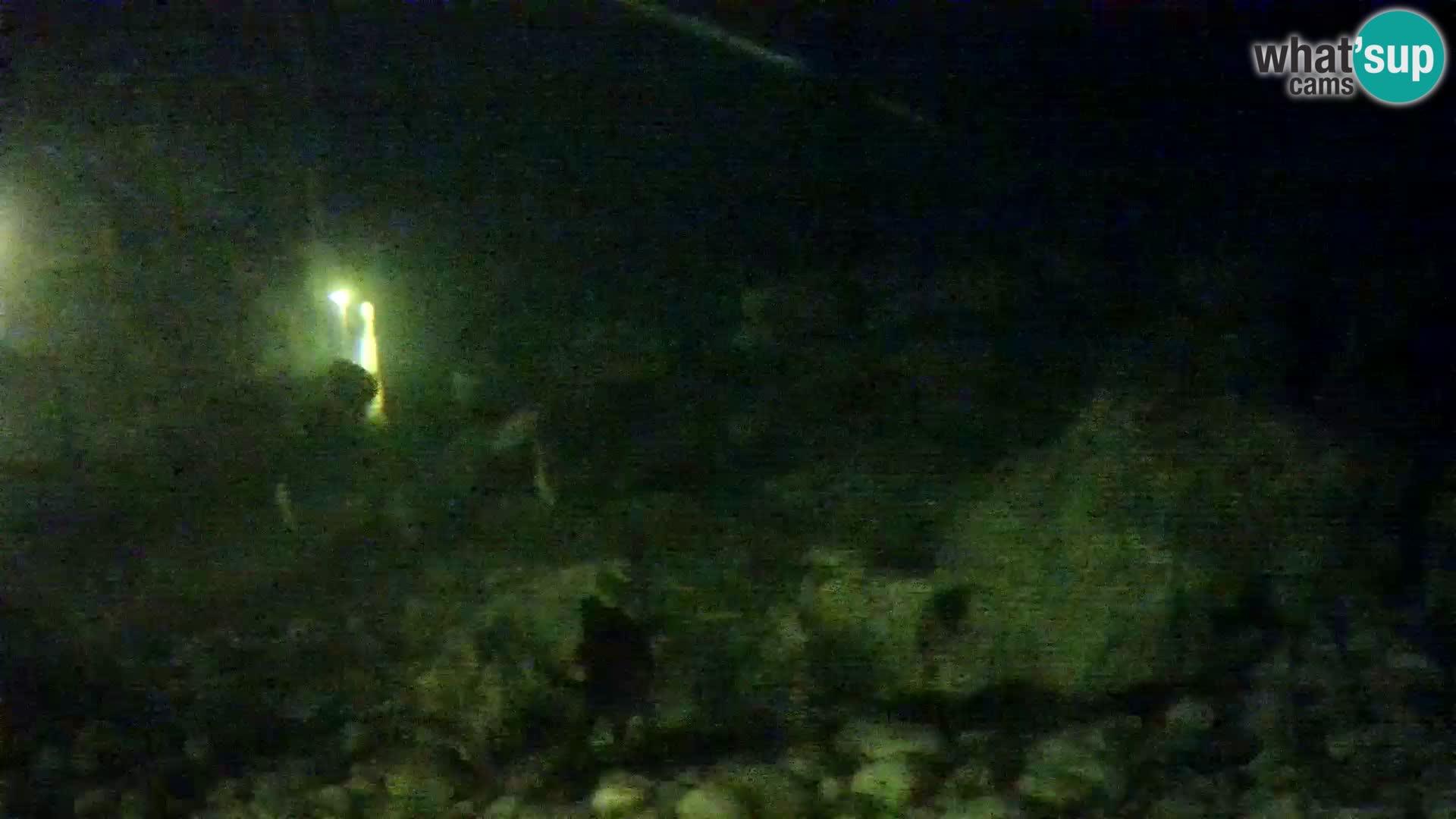Outdoor Marine Aquarium Rogoznica webcam Croatia