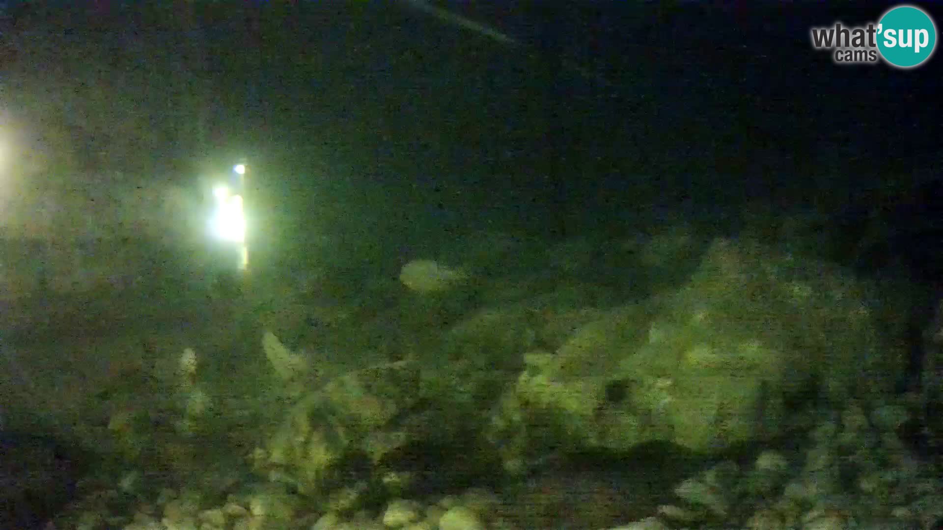 Aquario marino esterno –  Rogoznica livecam Croazia