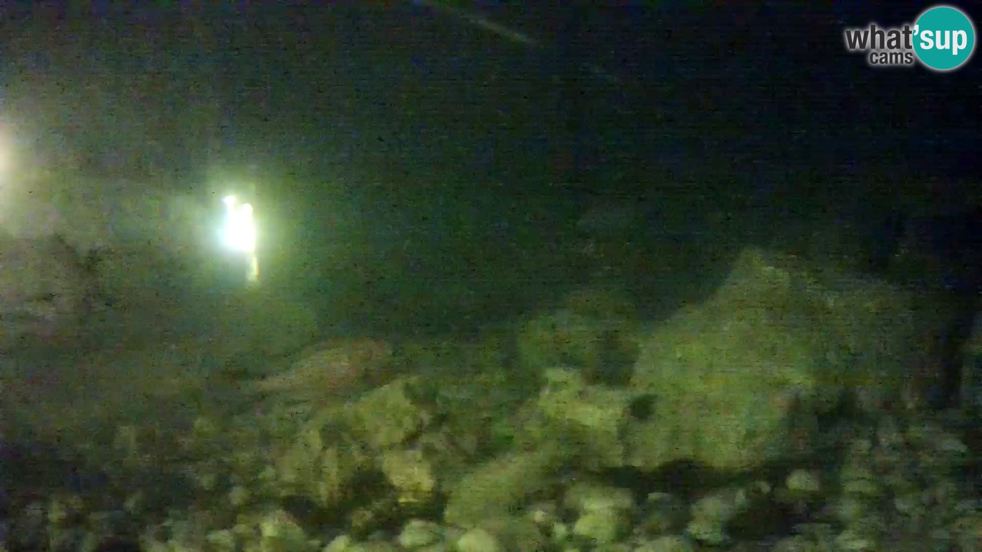 Zunanji morski akvarij Rogoznica spletna kamera Hrvaška