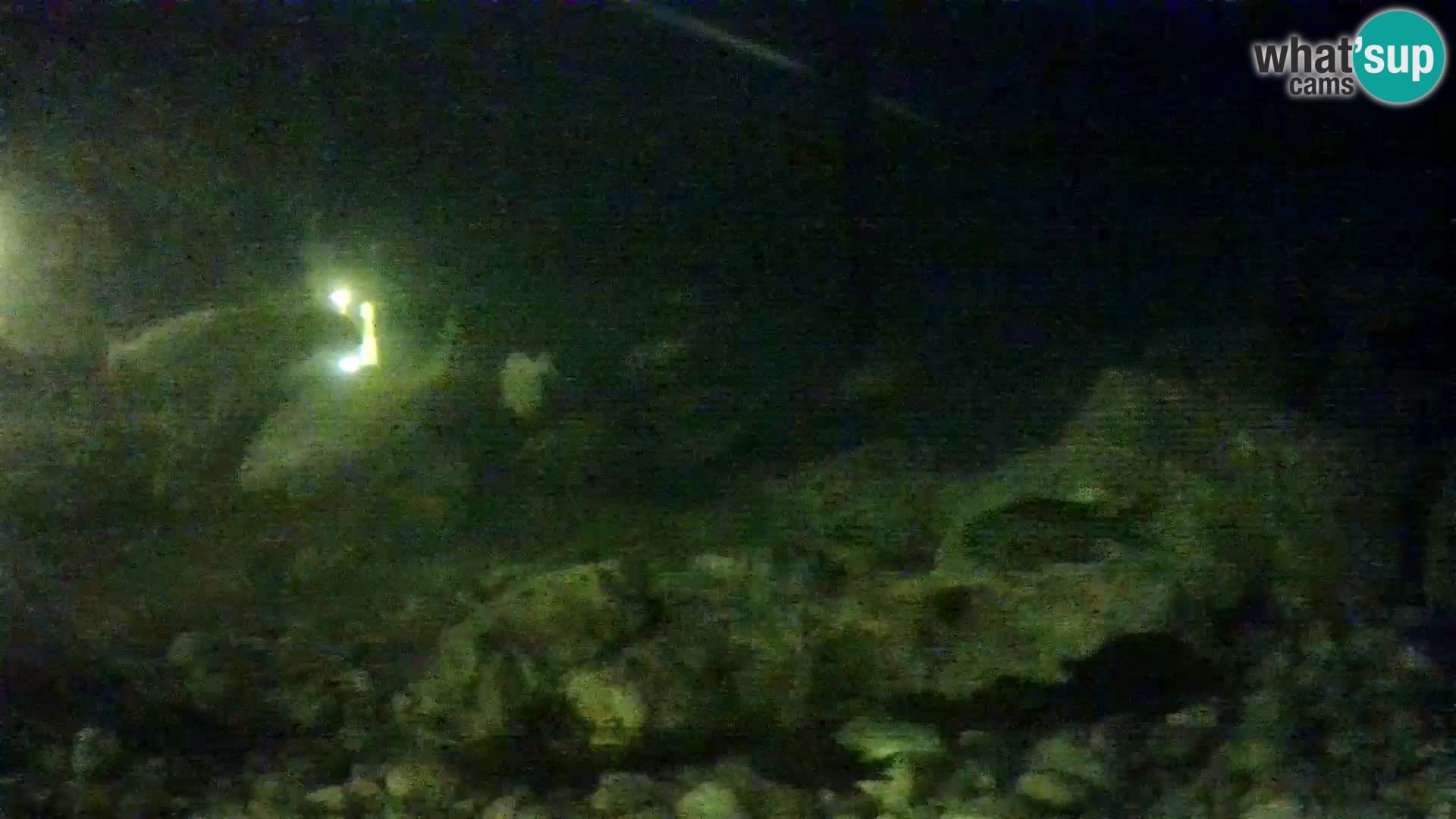 Outdoor Marine Aquarium Rogoznica webcam Croatia