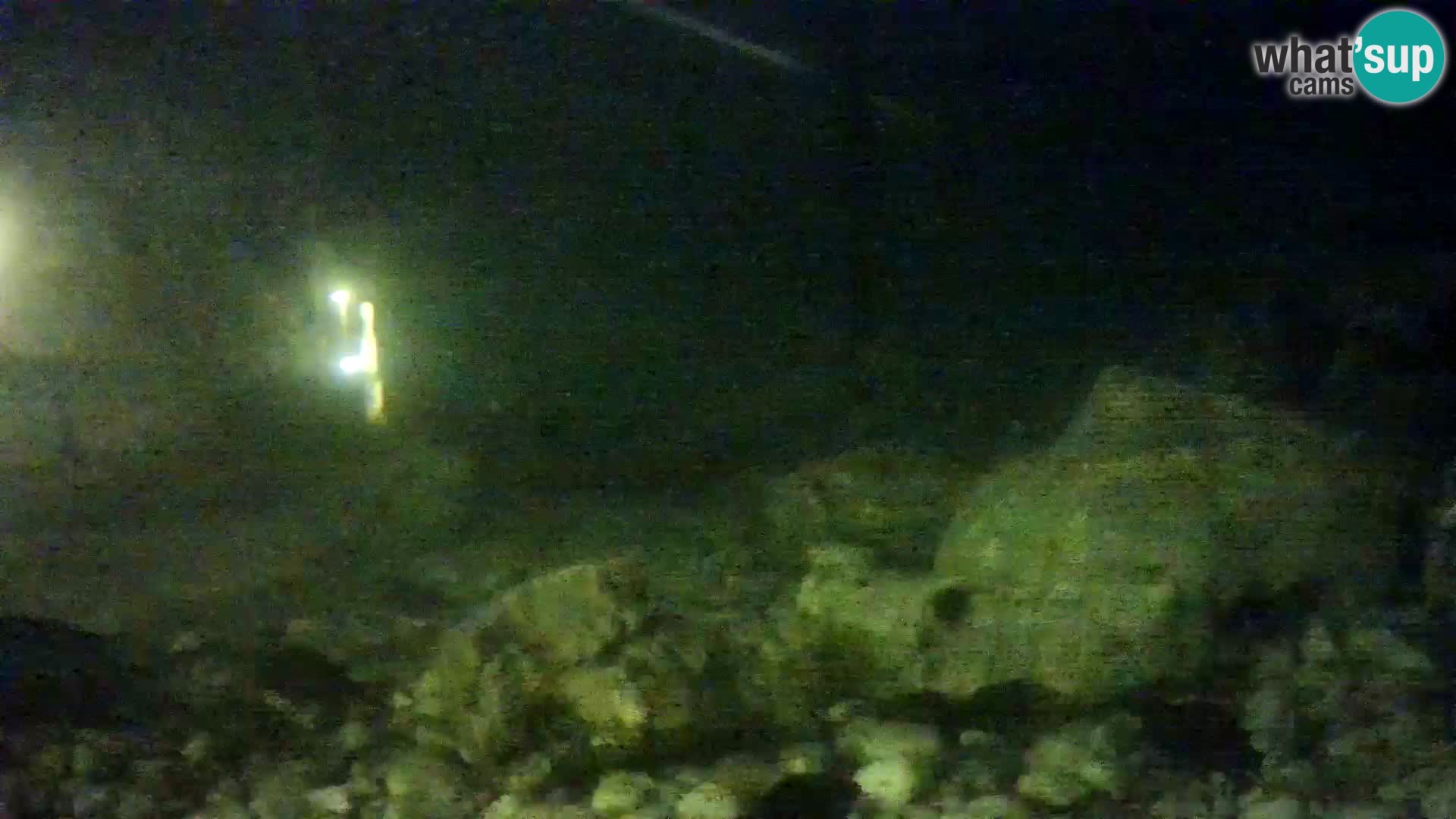 Aquario marino esterno –  Rogoznica livecam Croazia