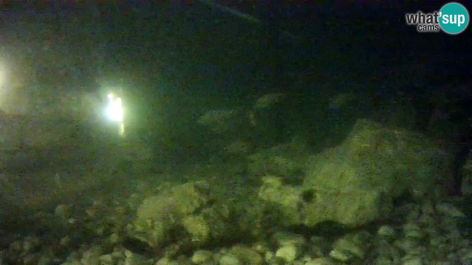 Outdoor Marine Aquarium Rogoznica webcam Croatia