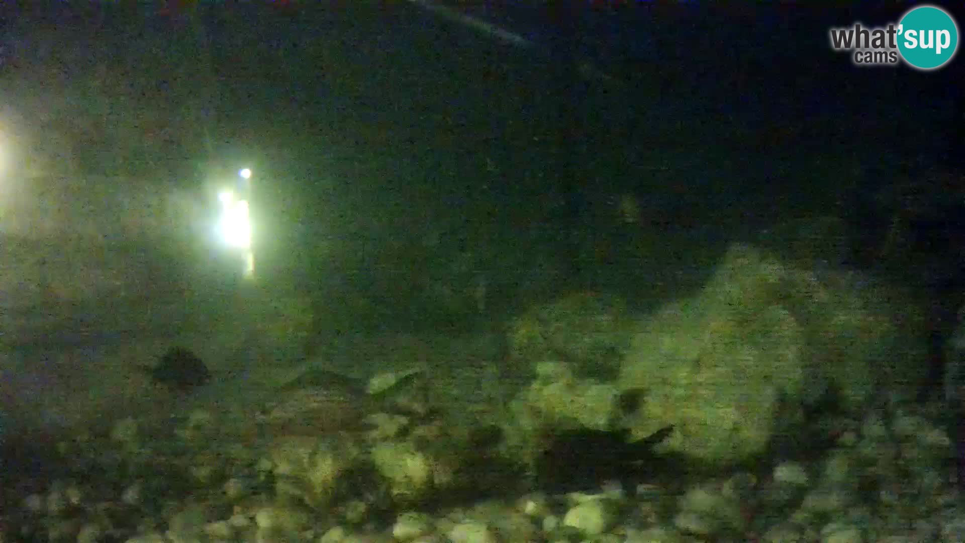 Outdoor Marine Aquarium Rogoznica webcam Croatia