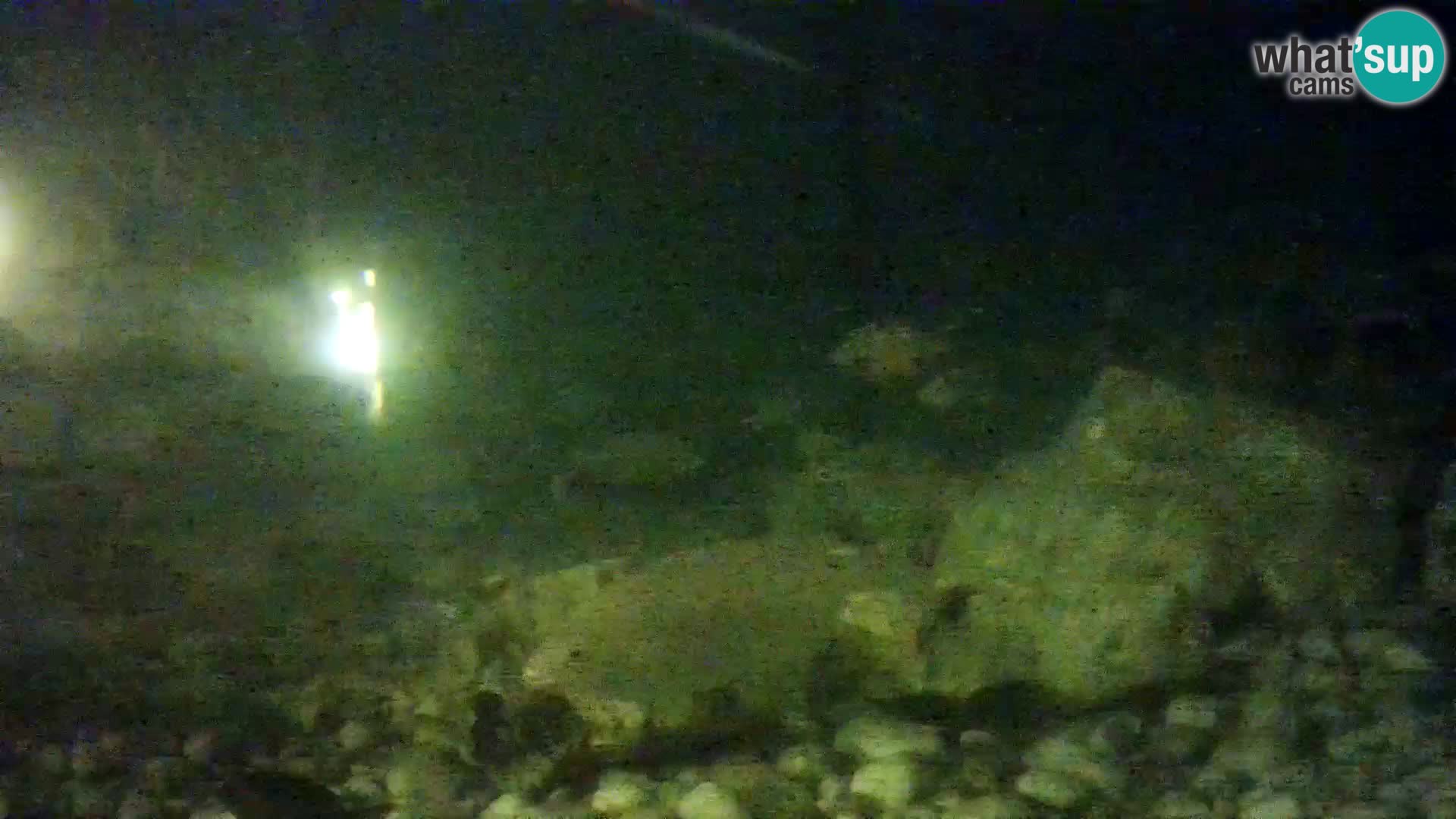 Aquario marino esterno –  Rogoznica livecam Croazia