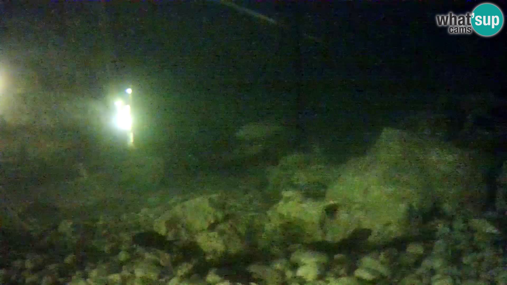 Webcam de l’aquarium marin extérieur de Rogoznica Croatie