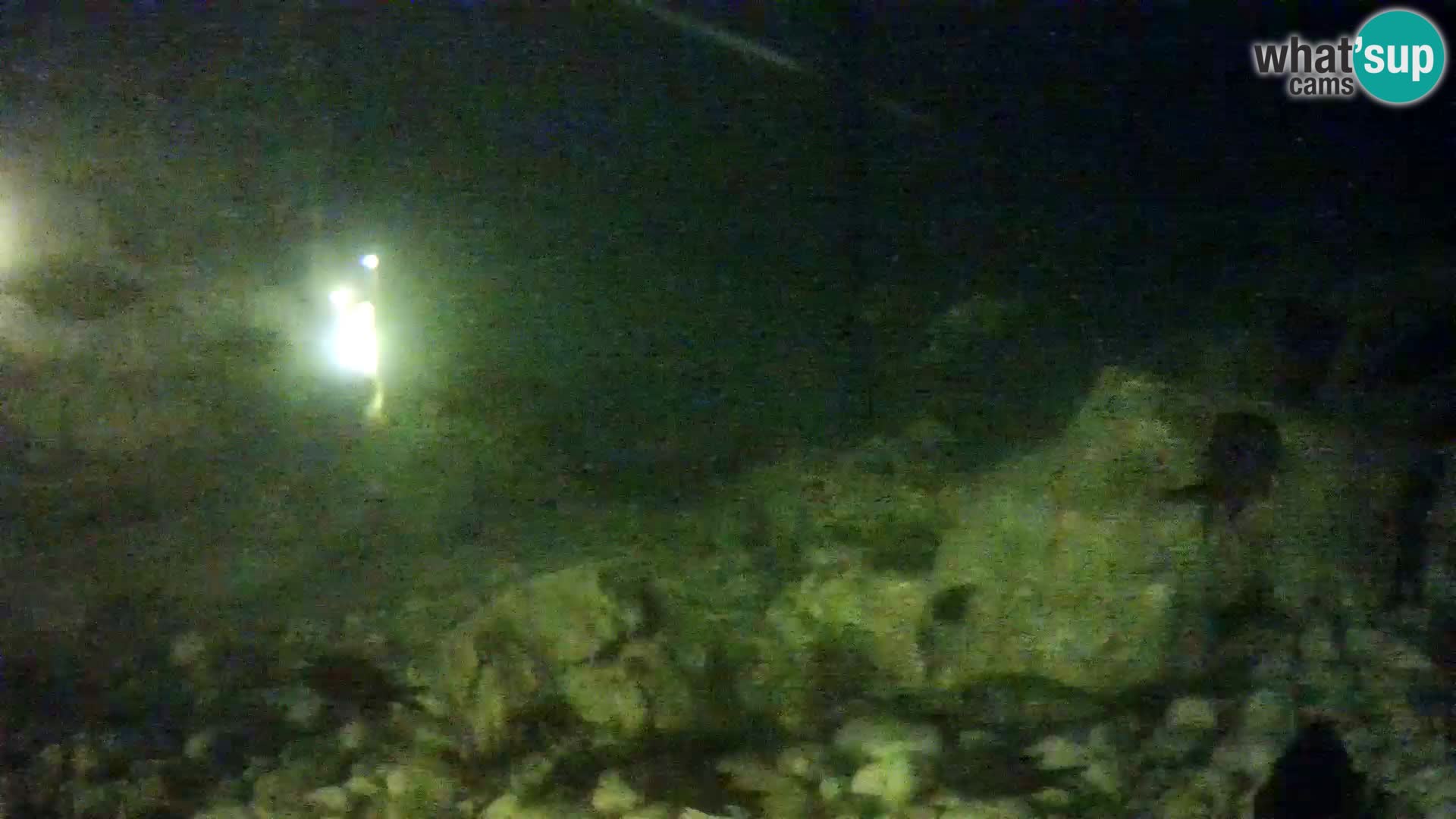 Outdoor Marine Aquarium Rogoznica webcam Croatia