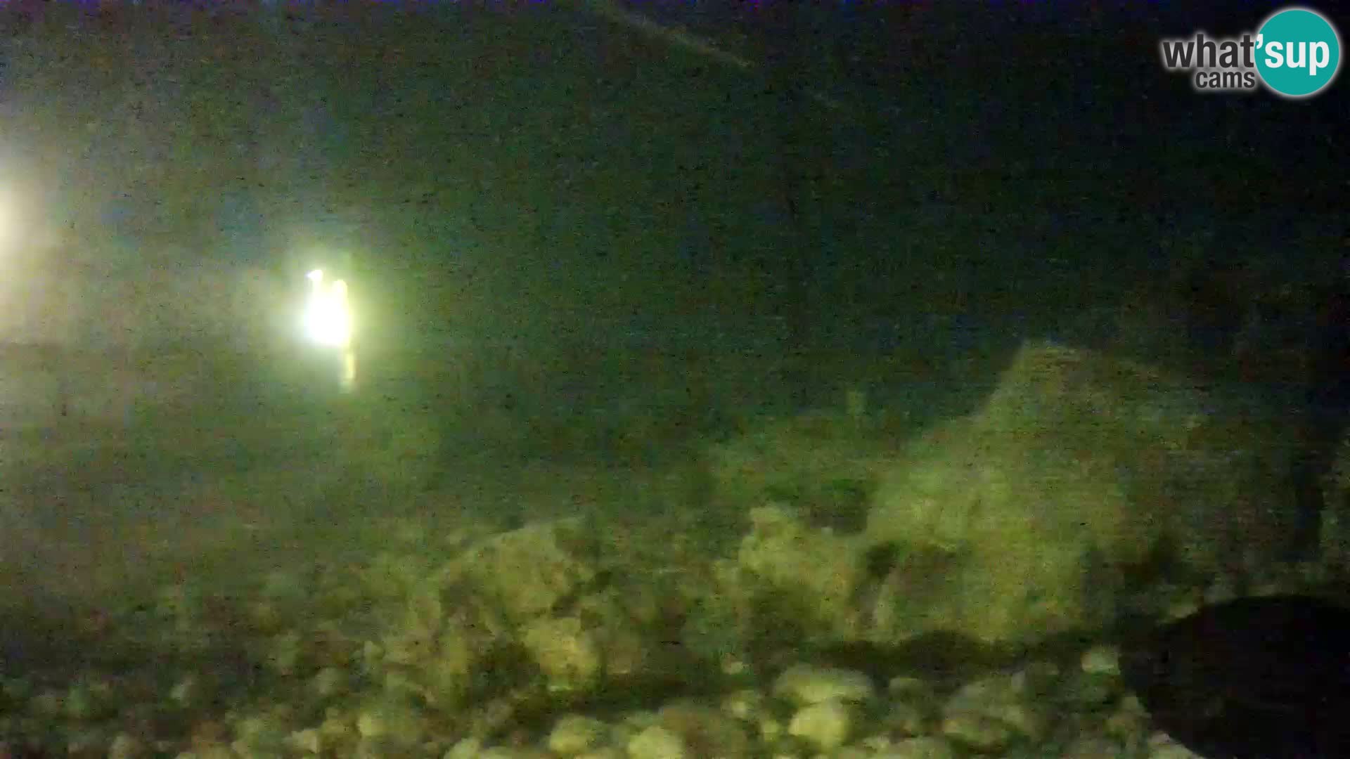Webcam de l’aquarium marin extérieur de Rogoznica Croatie