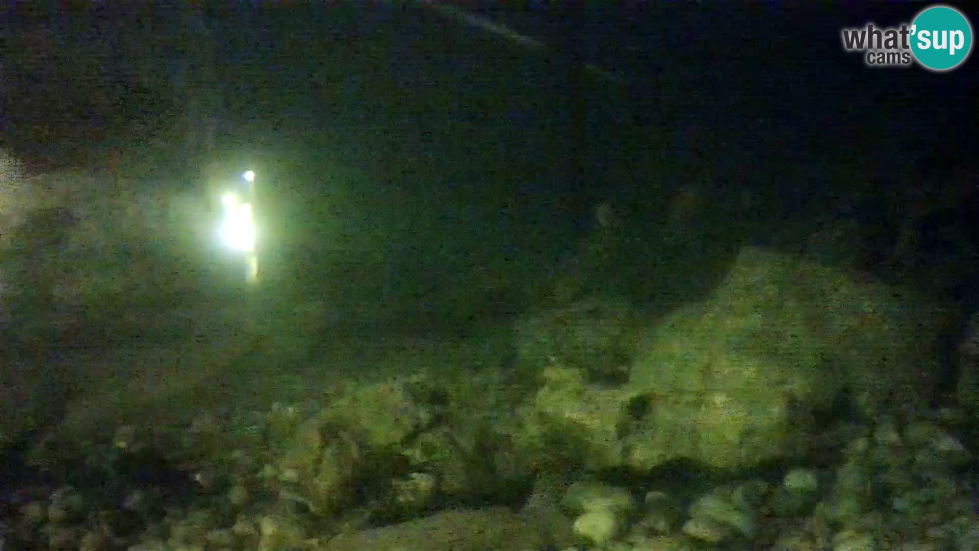 Acuario marino al aire libre Rogoznica webcam Croacia