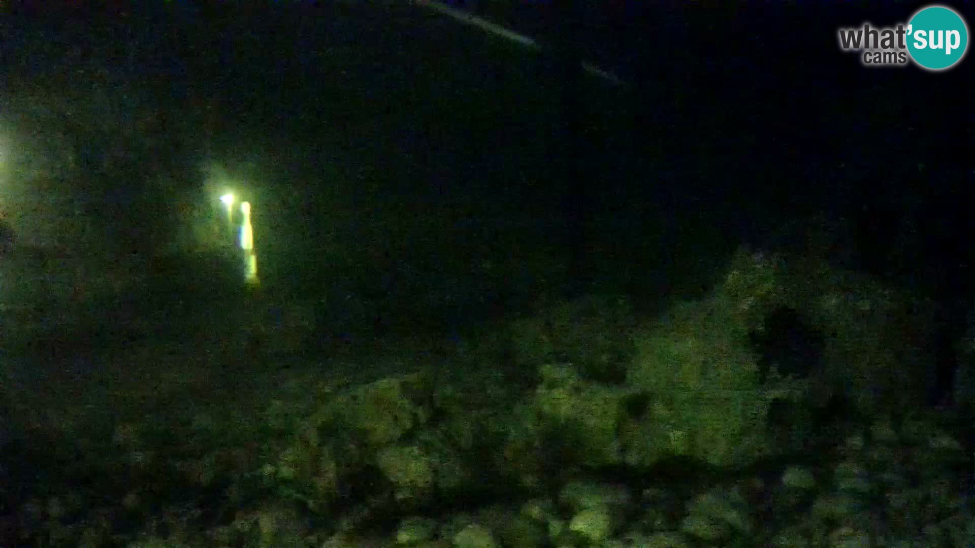 Zunanji morski akvarij Rogoznica spletna kamera Hrvaška
