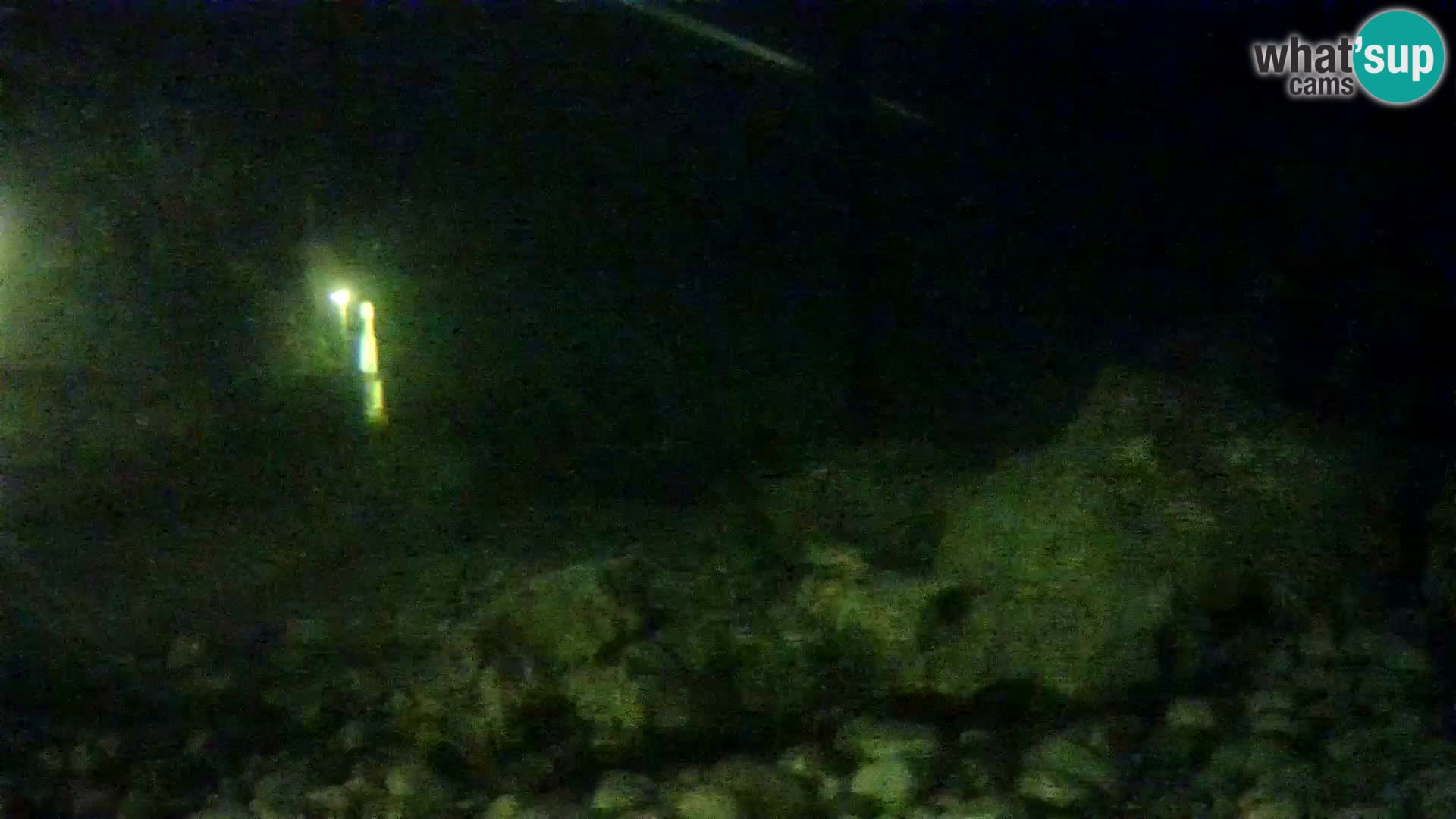 Aquario marino esterno –  Rogoznica livecam Croazia
