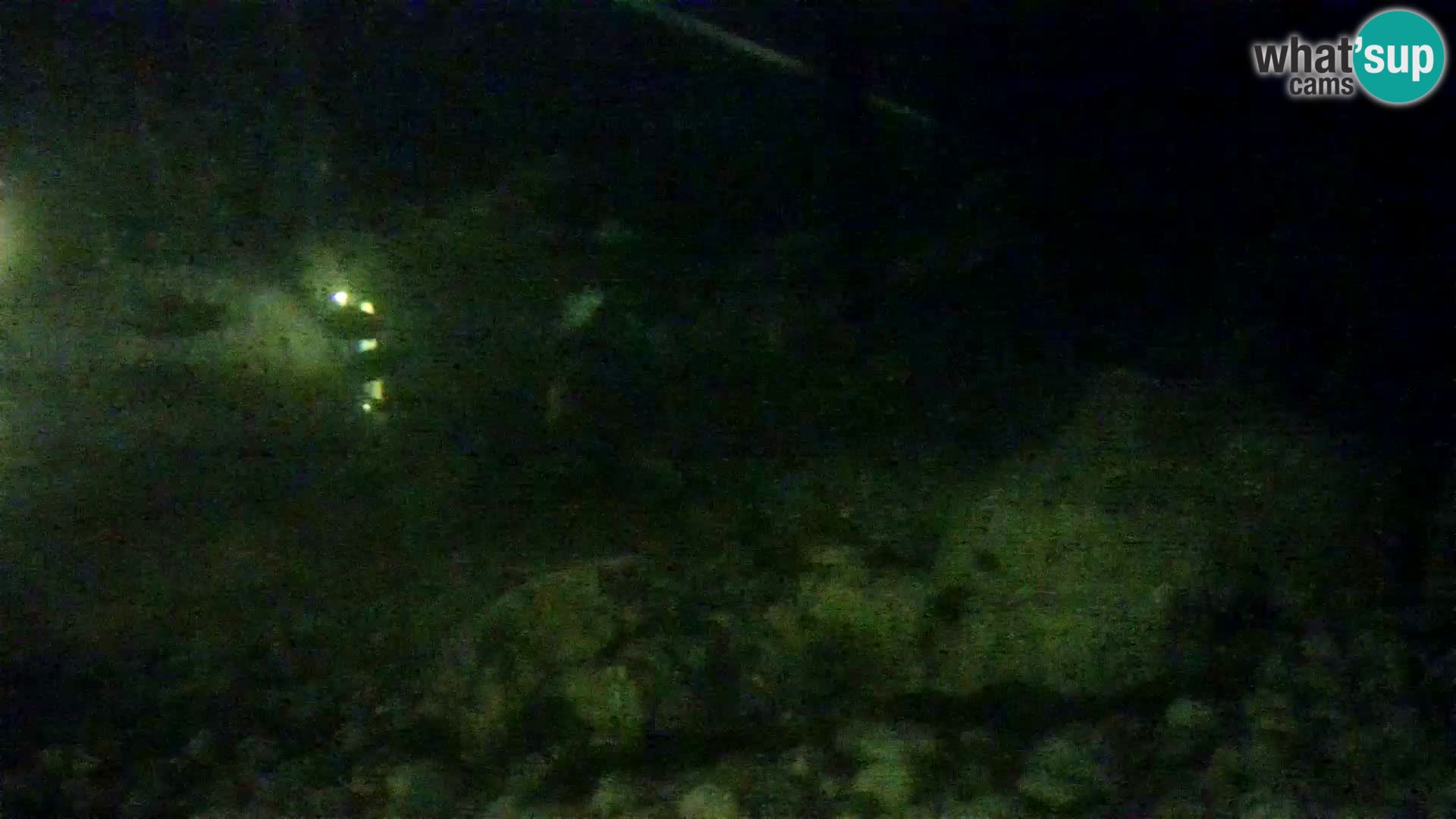 Aquario marino esterno –  Rogoznica livecam Croazia