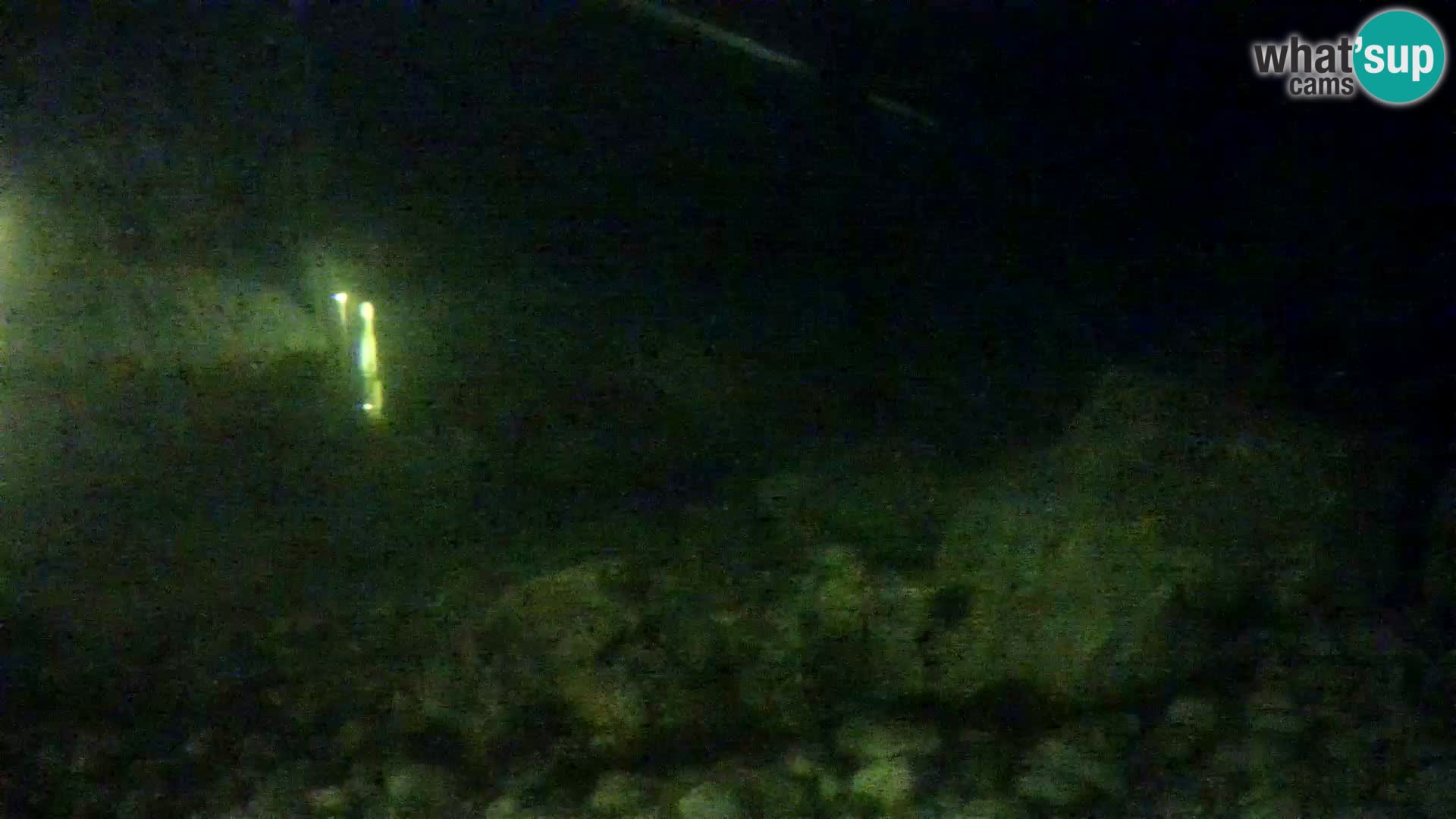 Acuario marino al aire libre Rogoznica webcam Croacia