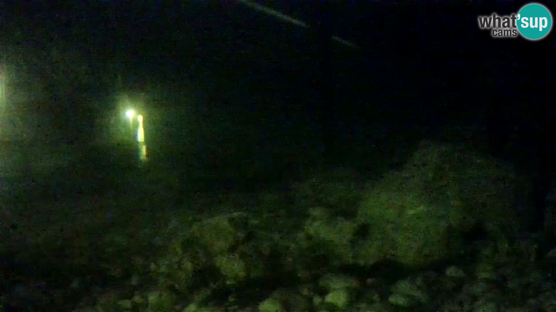 Aquario marino esterno –  Rogoznica livecam Croazia