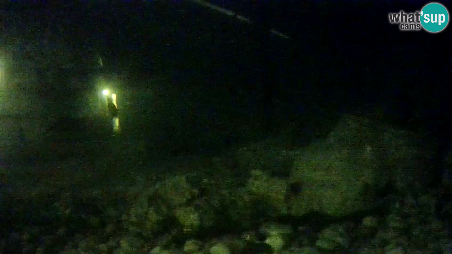 Zunanji morski akvarij Rogoznica spletna kamera Hrvaška