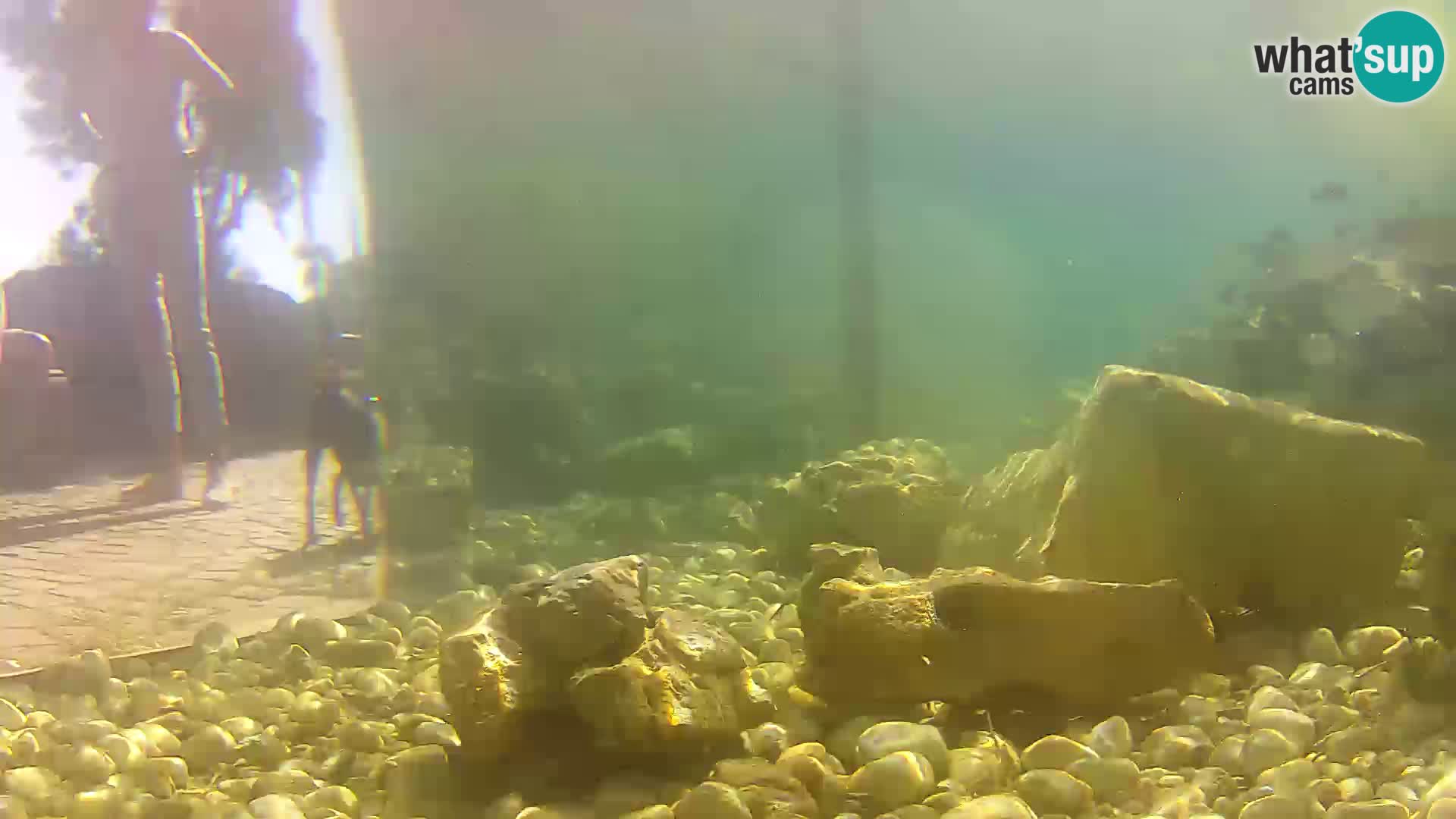 Webcam de l’aquarium marin extérieur de Rogoznica Croatie
