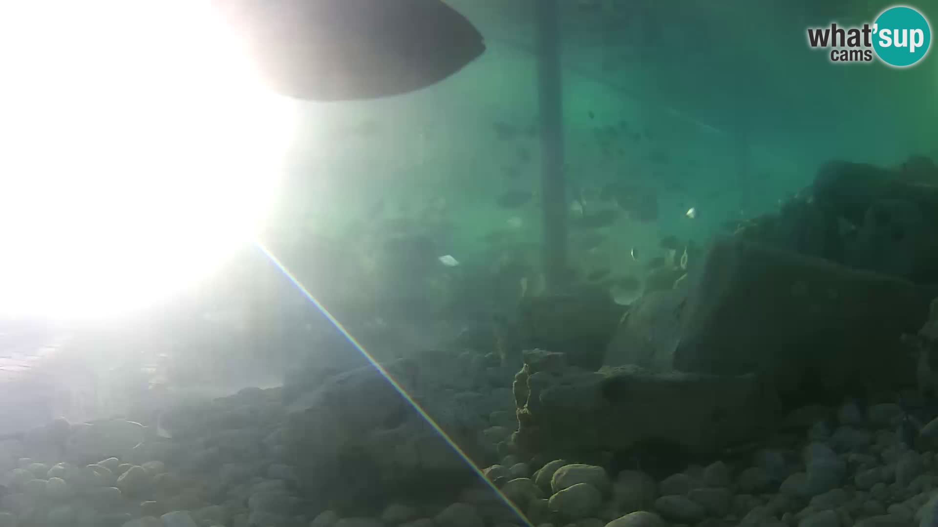 Webcam de l’aquarium marin extérieur de Rogoznica Croatie