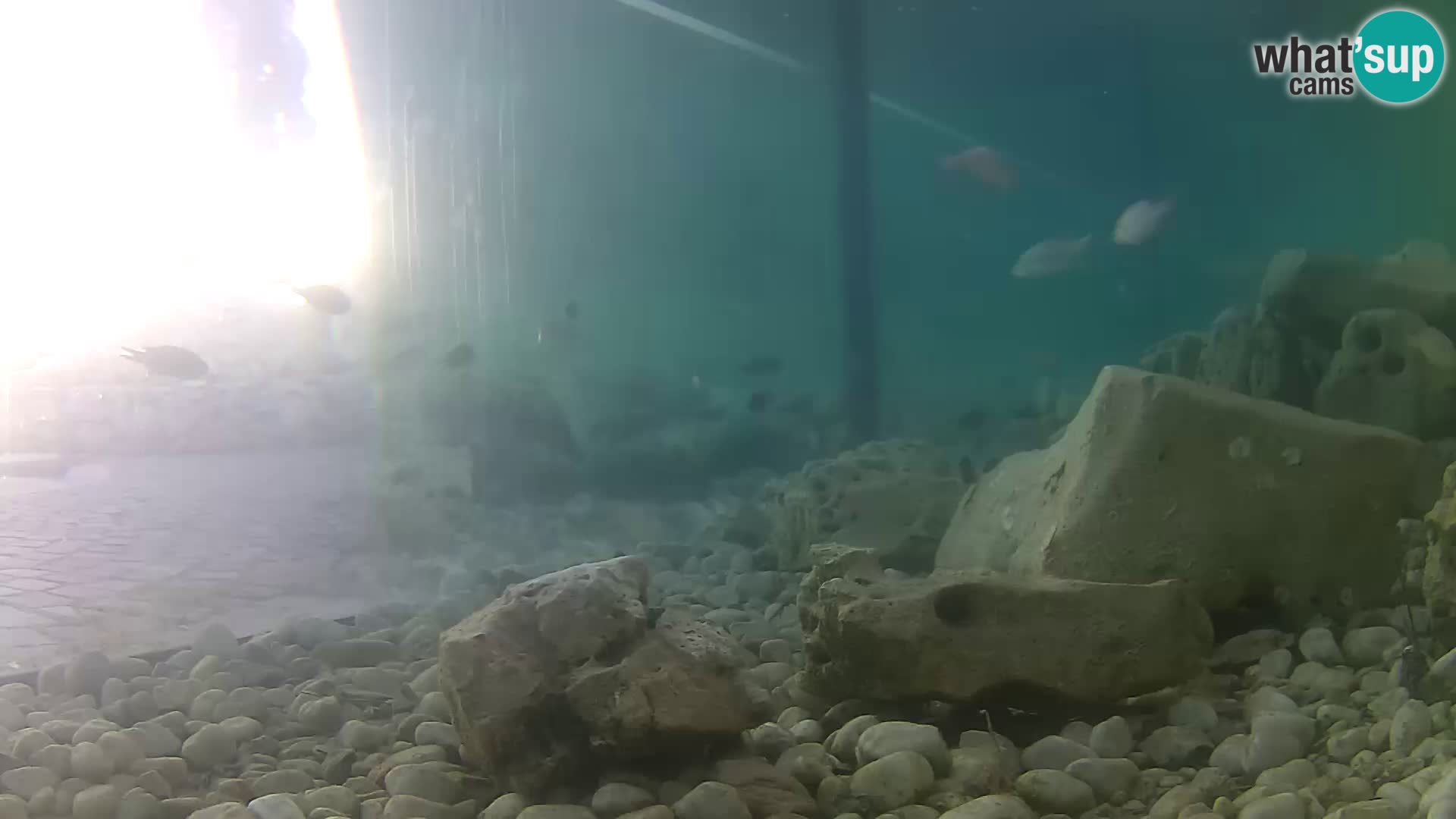 Marine Aquarium im Freien Rogoznica webcam Kroatien