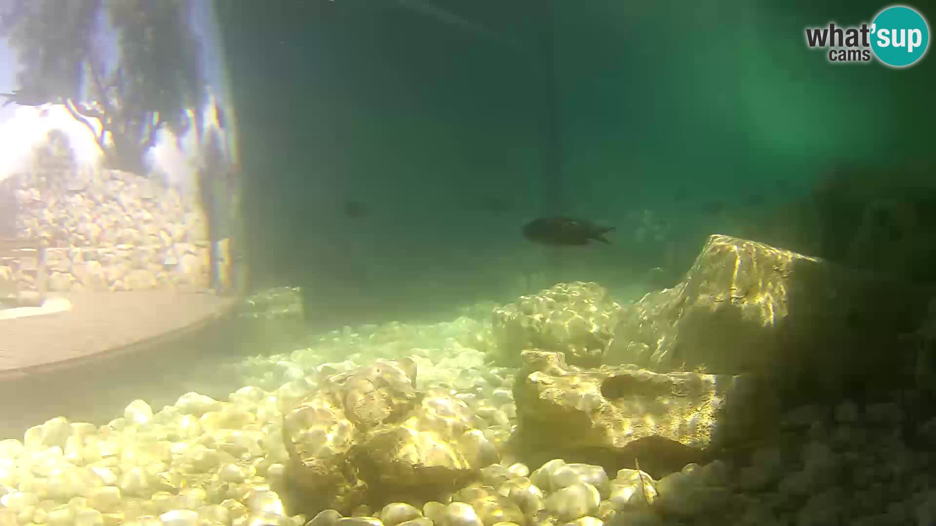 Marine Aquarium im Freien Rogoznica webcam Kroatien