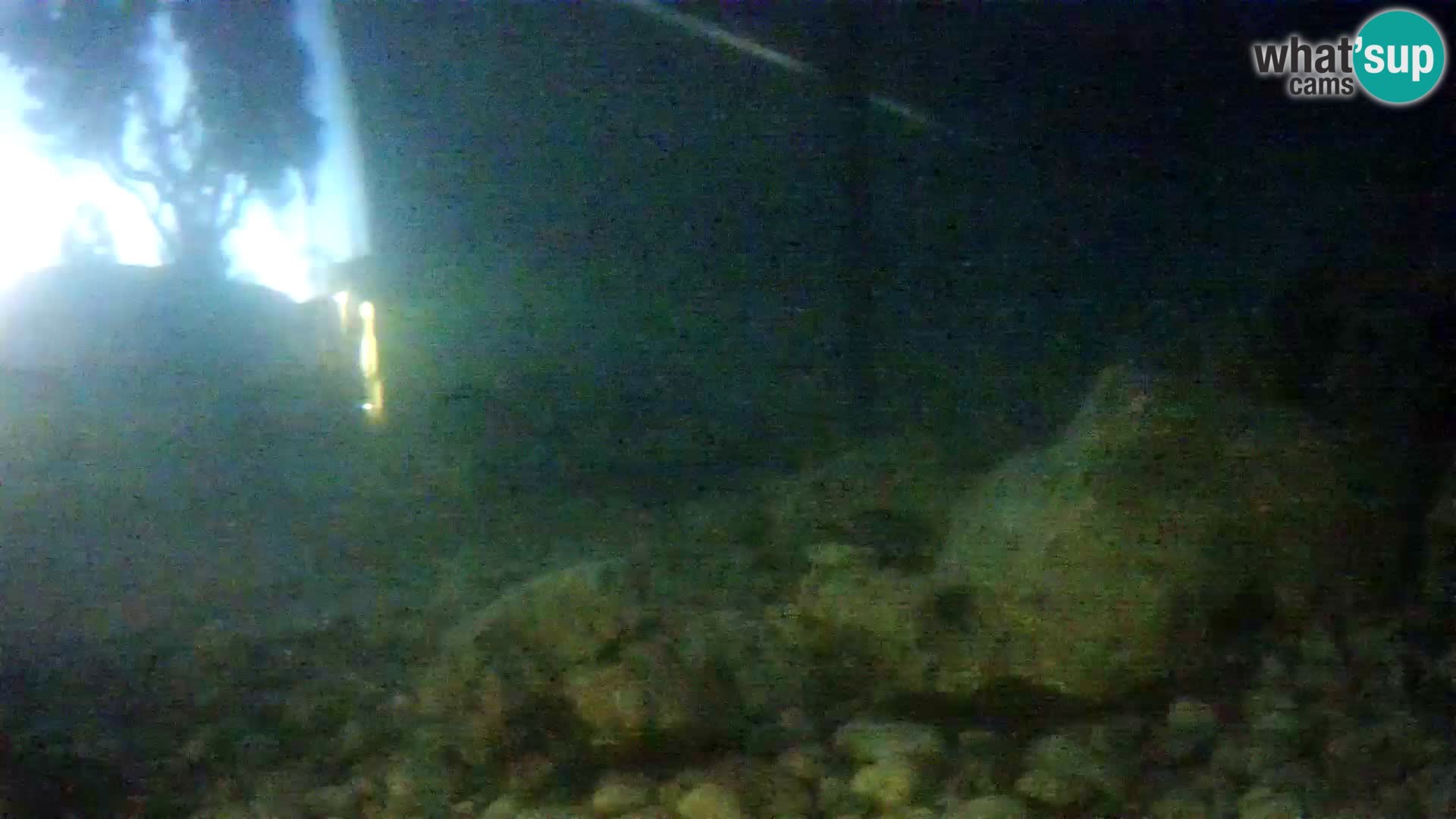 Webcam de l’aquarium marin extérieur de Rogoznica Croatie