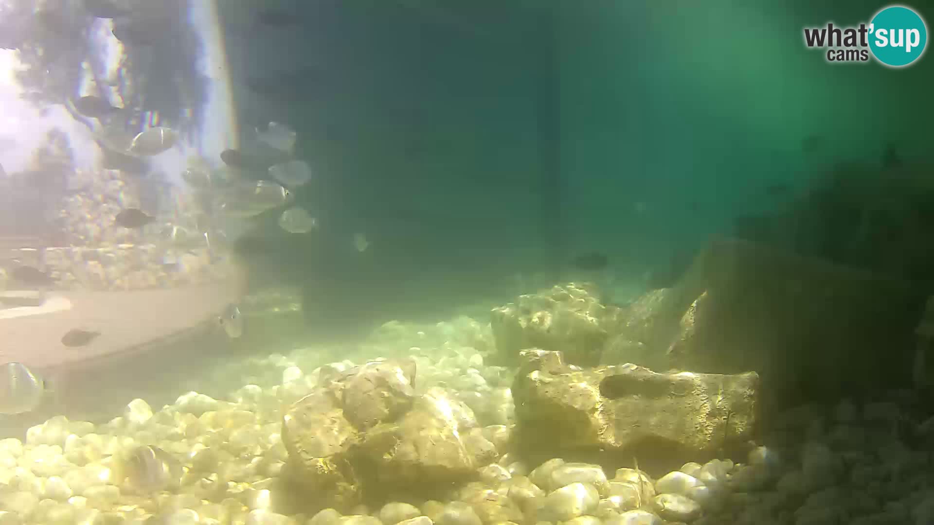 Marine Aquarium im Freien Rogoznica webcam Kroatien