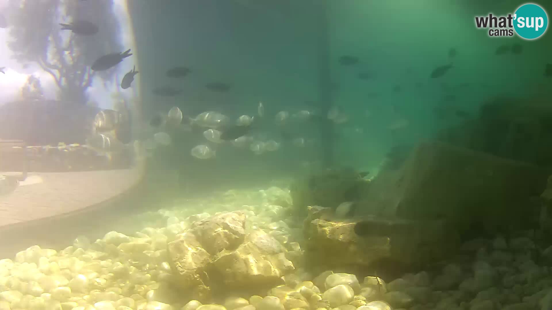 Marine Aquarium im Freien Rogoznica webcam Kroatien