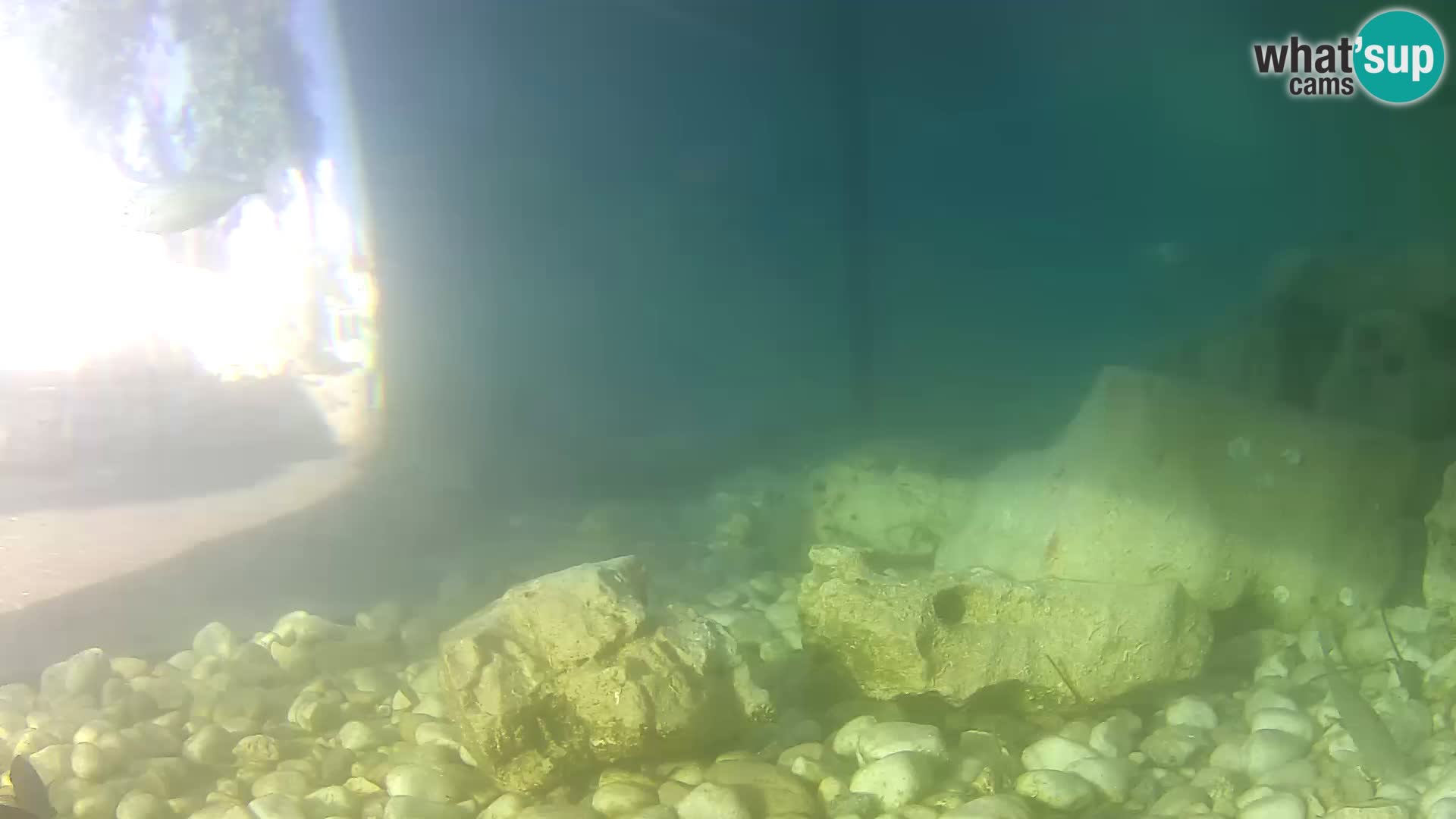 Marine Aquarium im Freien Rogoznica webcam Kroatien
