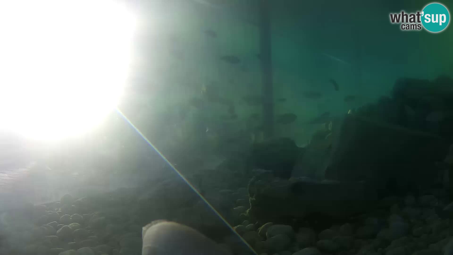 Outdoor Marine Aquarium Rogoznica webcam Croatia