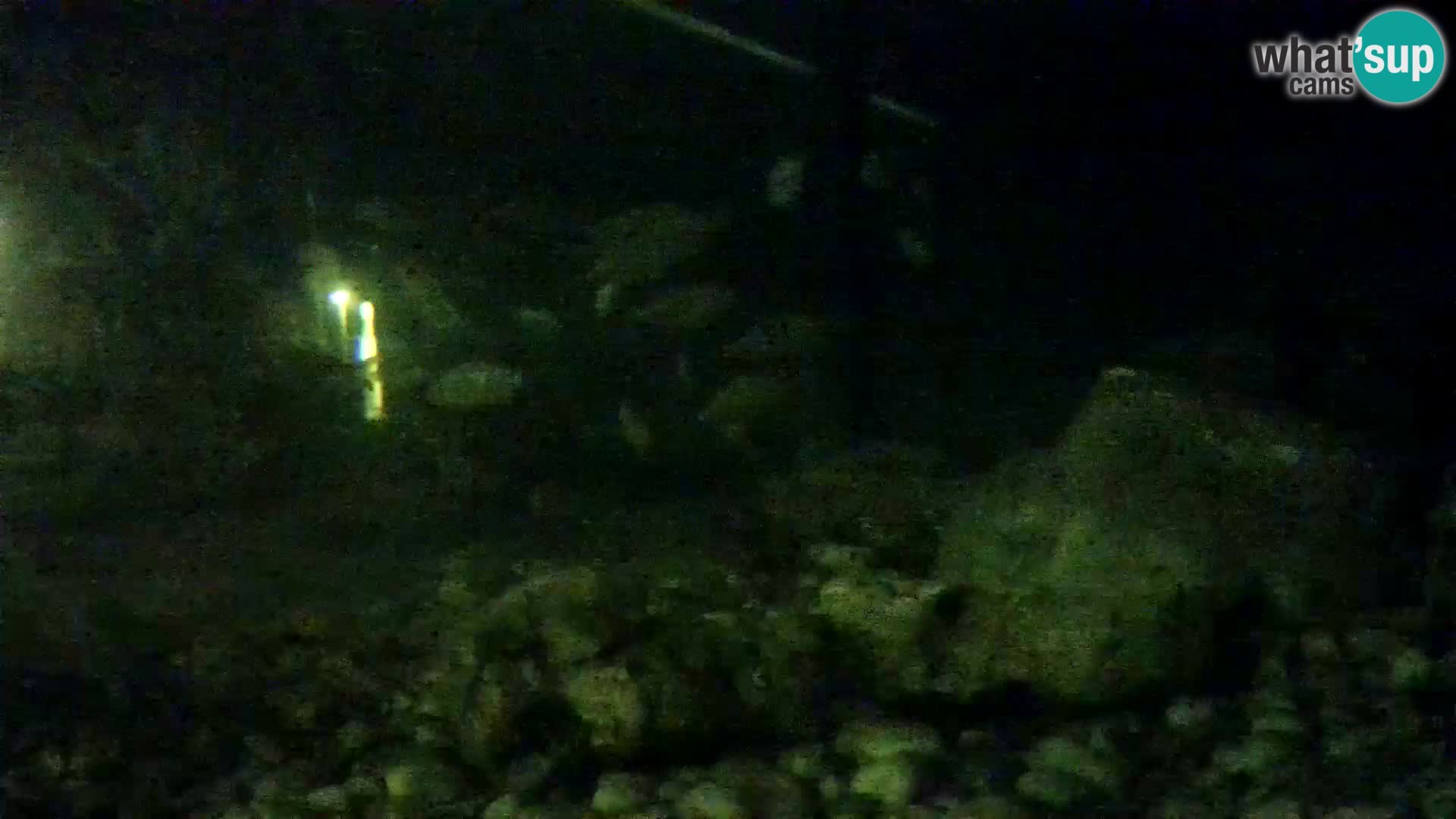 Outdoor Marine Aquarium Rogoznica webcam Croatia