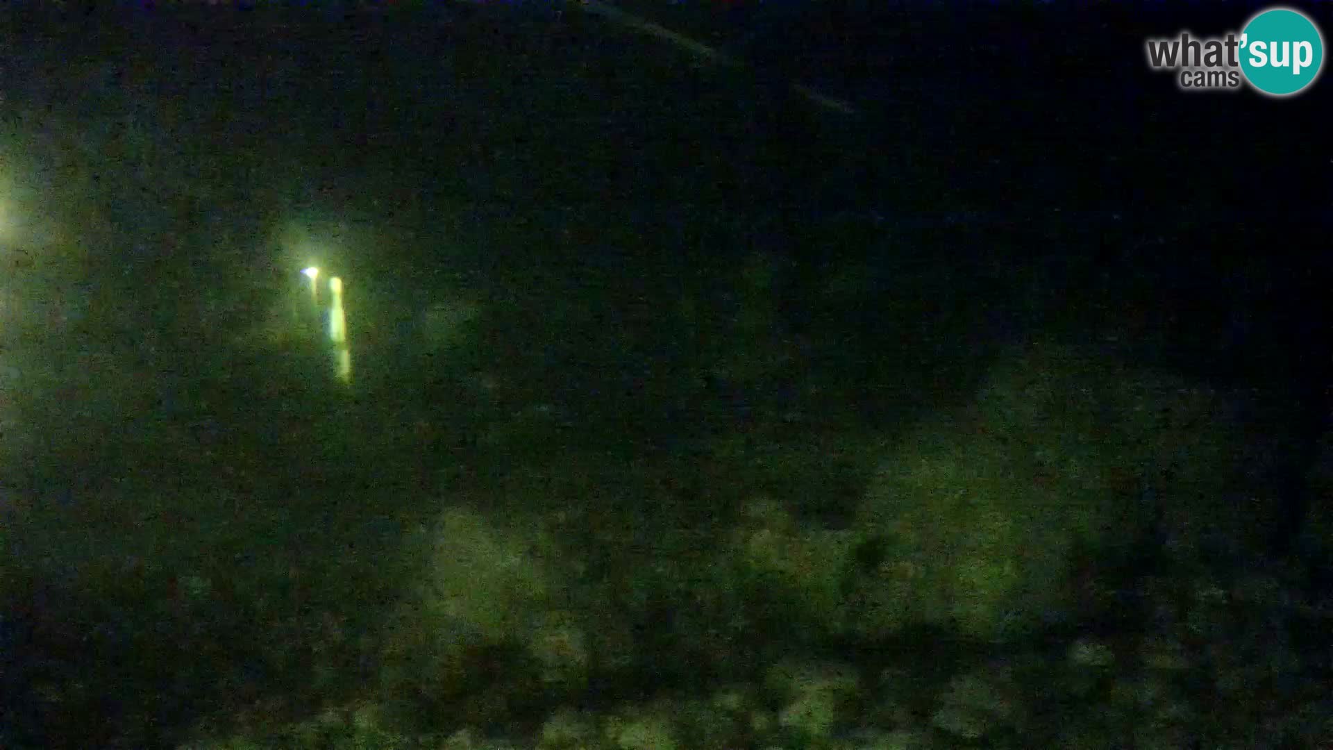 Aquario marino esterno –  Rogoznica livecam Croazia