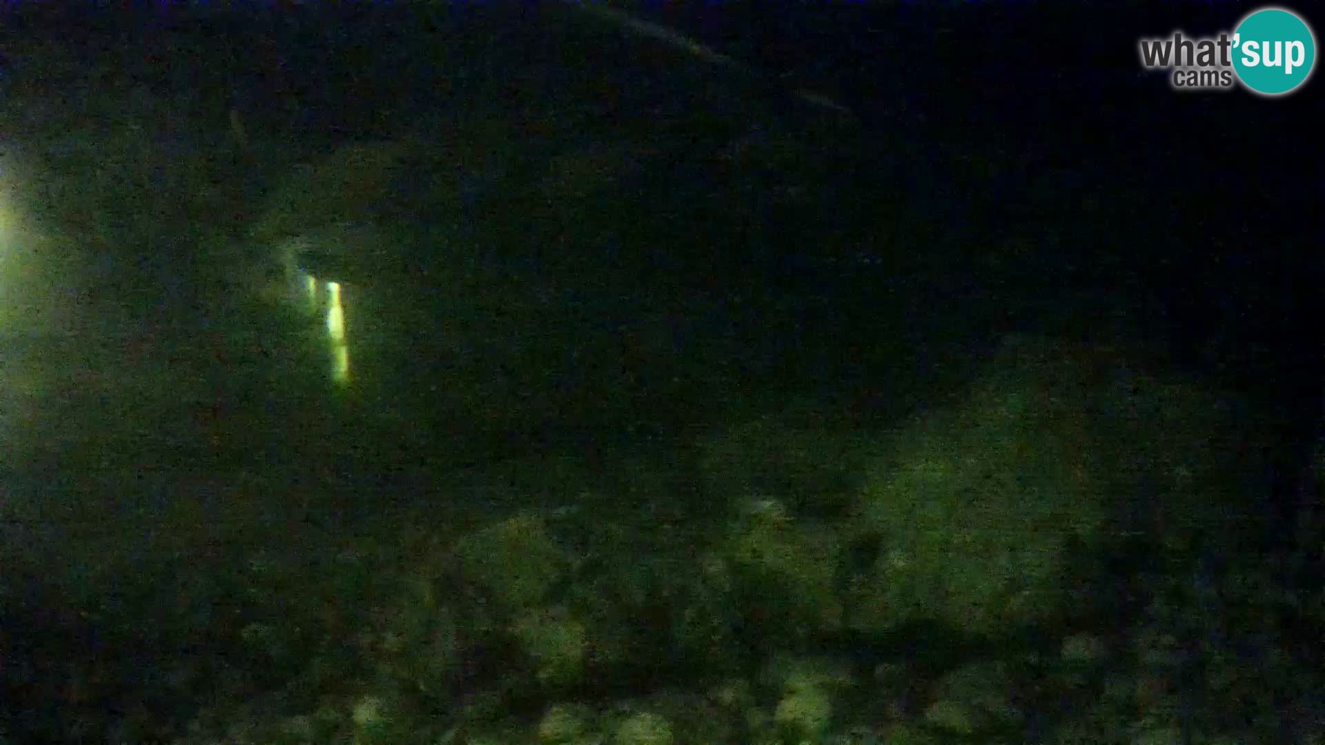Zunanji morski akvarij Rogoznica spletna kamera Hrvaška