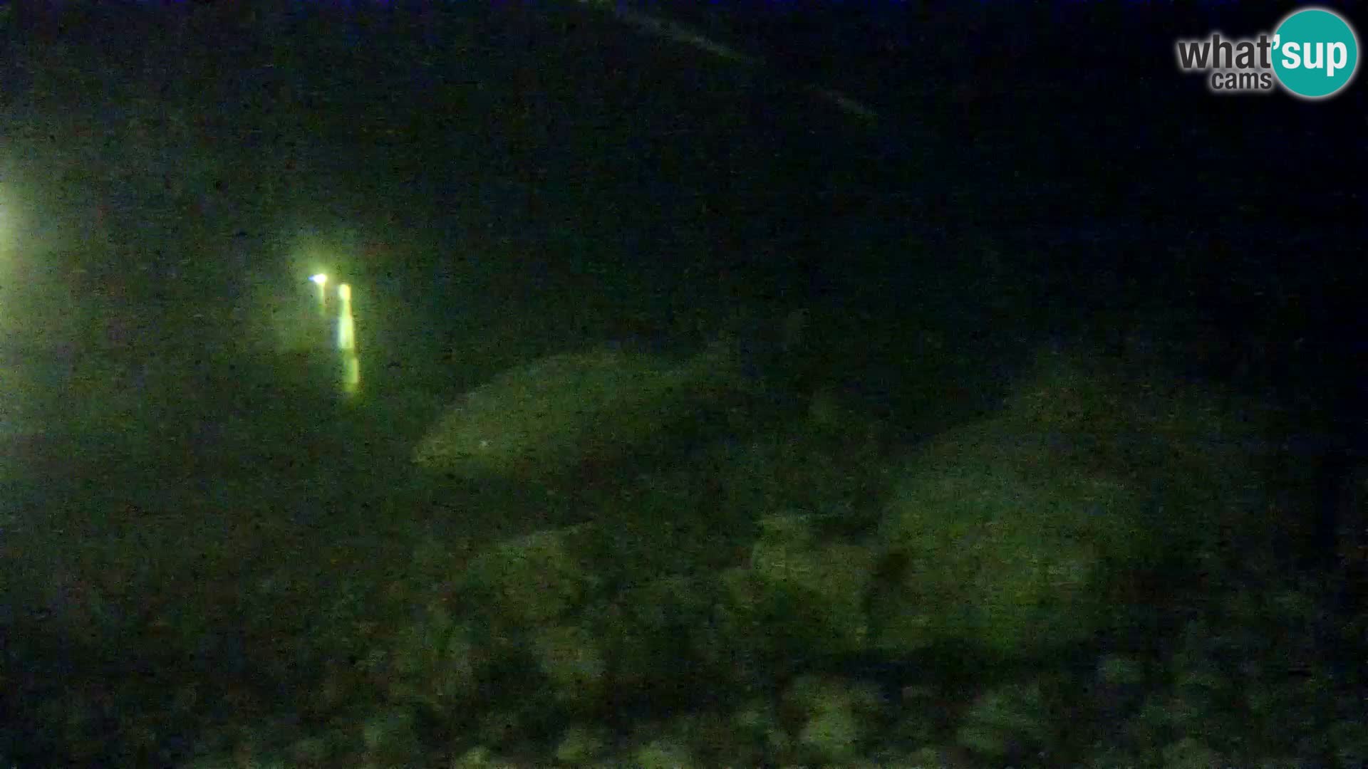 Outdoor Marine Aquarium Rogoznica webcam Croatia