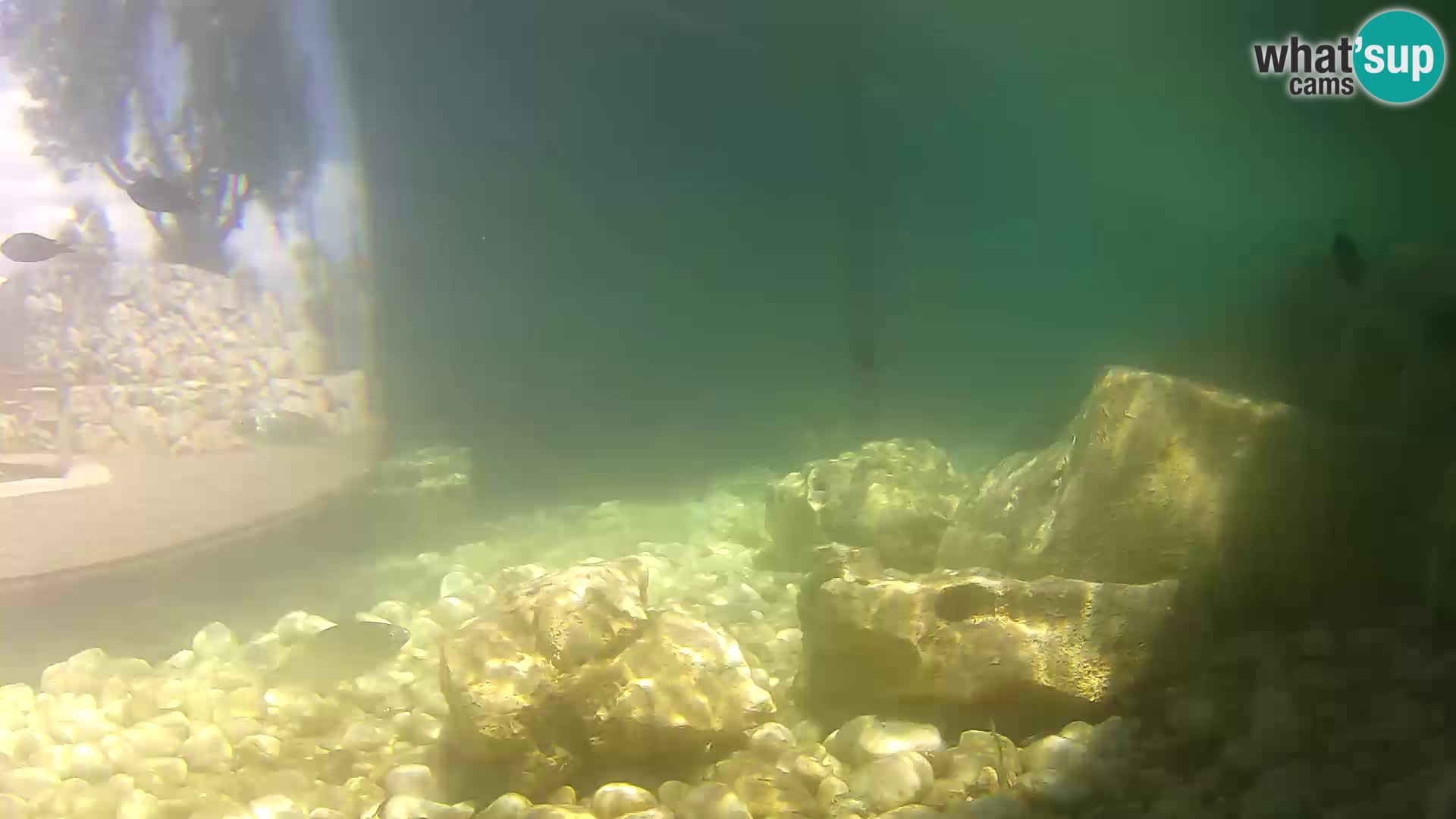 Unterwasserkamera Brijuni – Čamčarnica