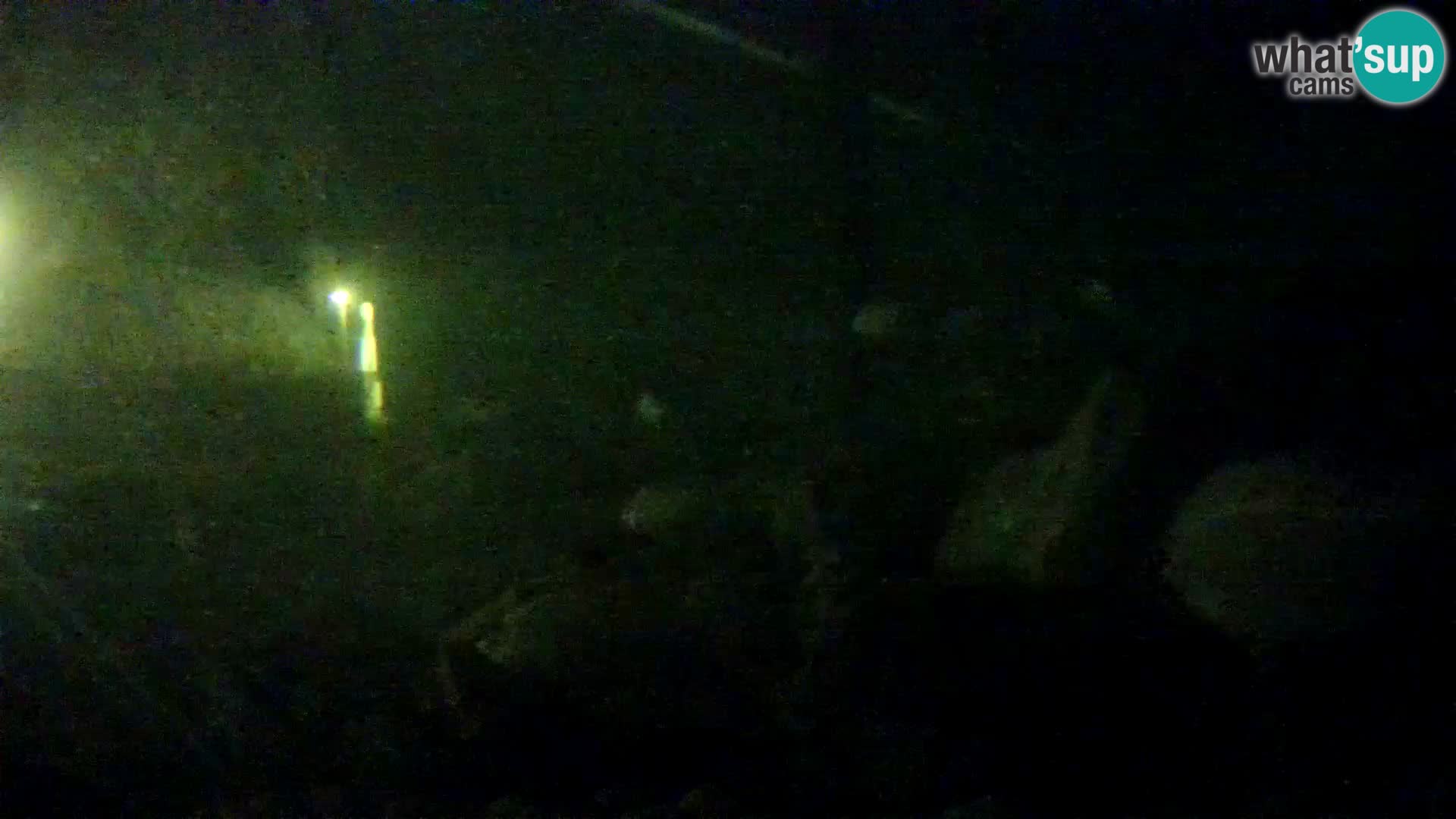 Outdoor Marine Aquarium Rogoznica webcam Croatia